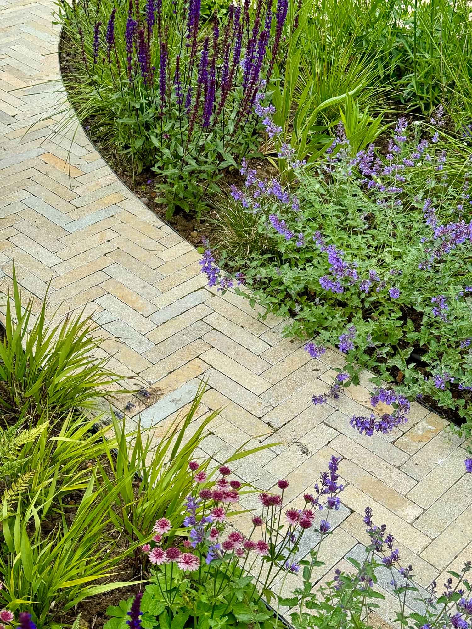 Colorful garden with purple, pink, and green plants along a herringbone brick pathway.