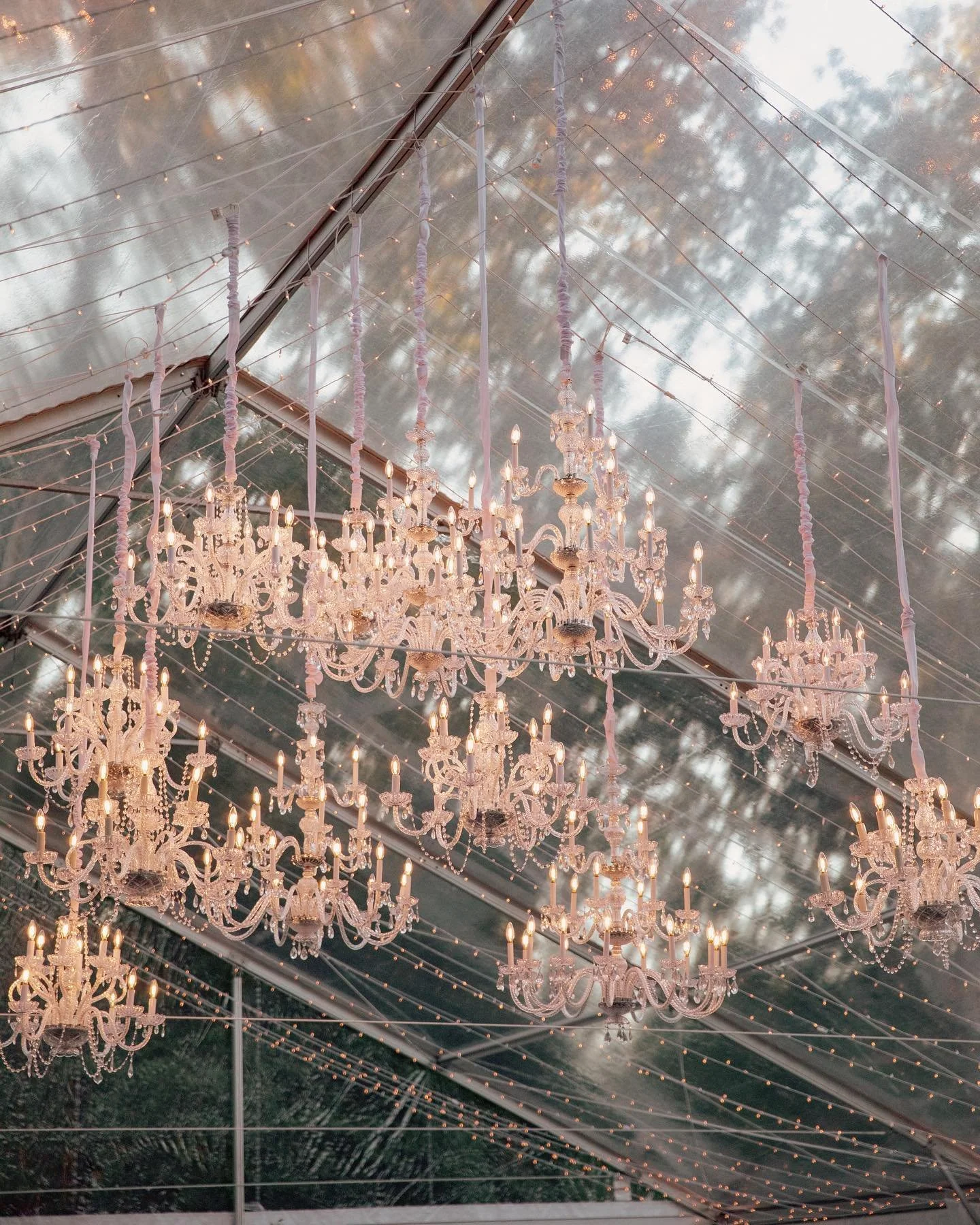 Multiple elegant crystal chandeliers hanging from a ceiling with string lights, inside a glass tent or greenhouse with trees visible outside.