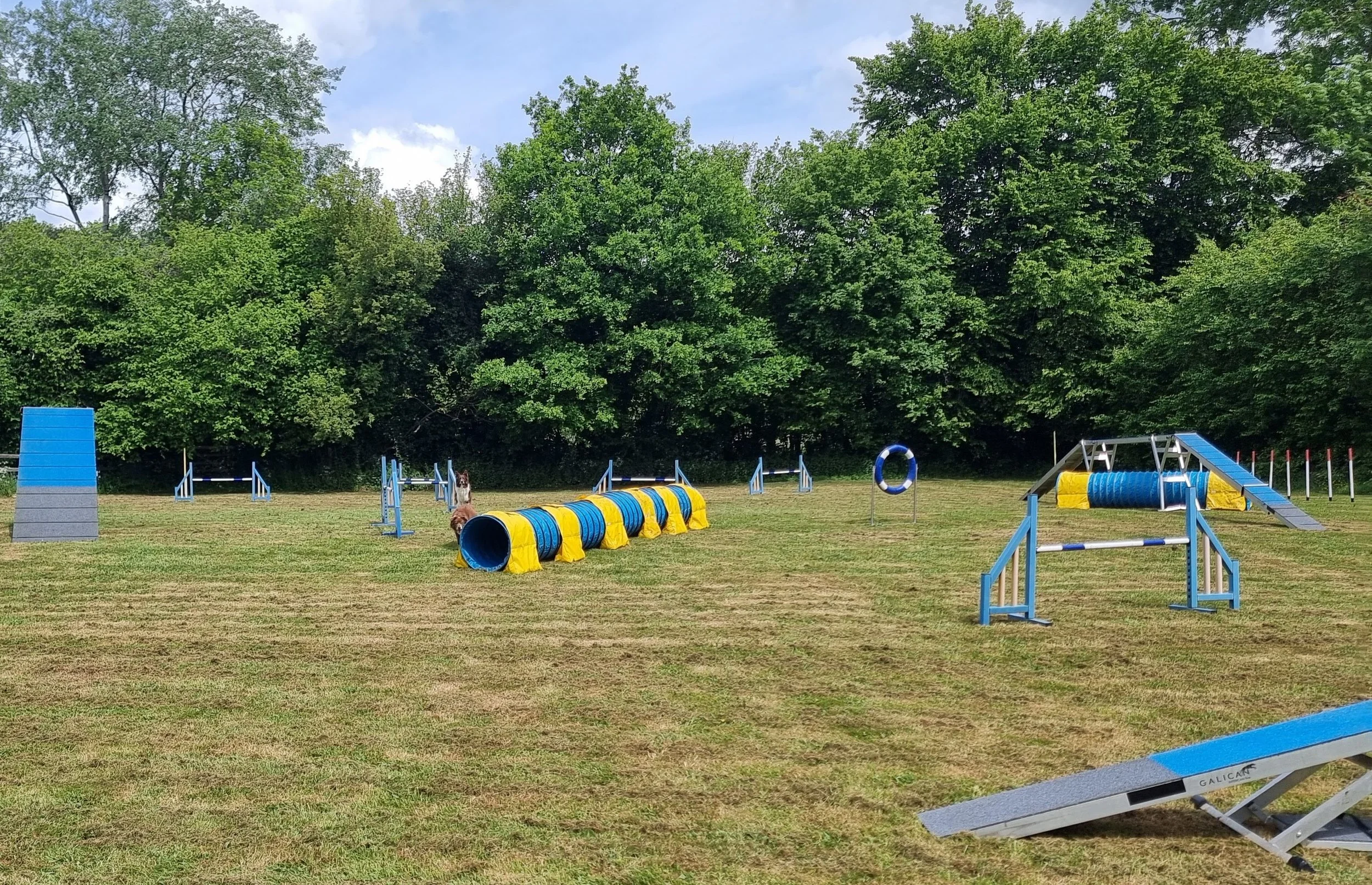 An Agility training field with Dog Walk, Seesaw, Jumps, Tunnels, Weaves and nature