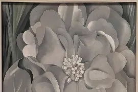 Post header - 270x180res300 - Flowers.jpg