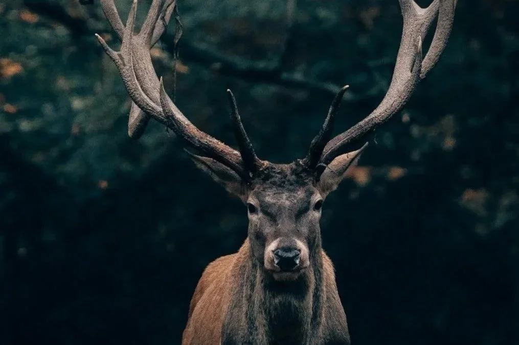 A Drum is Born - The Ethics