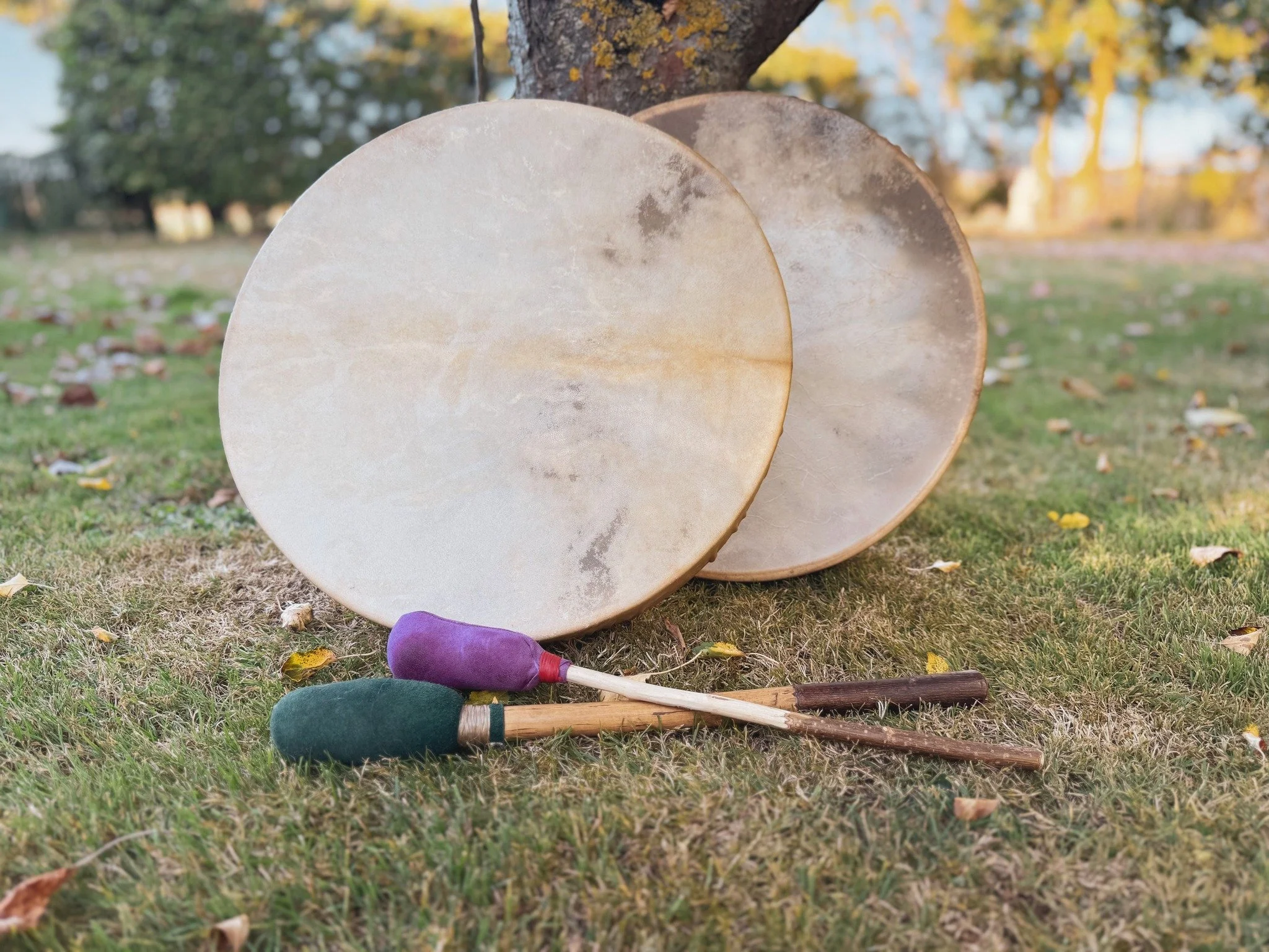 Caer Corhrain Drum Birthing Workshop (14th October 2026)