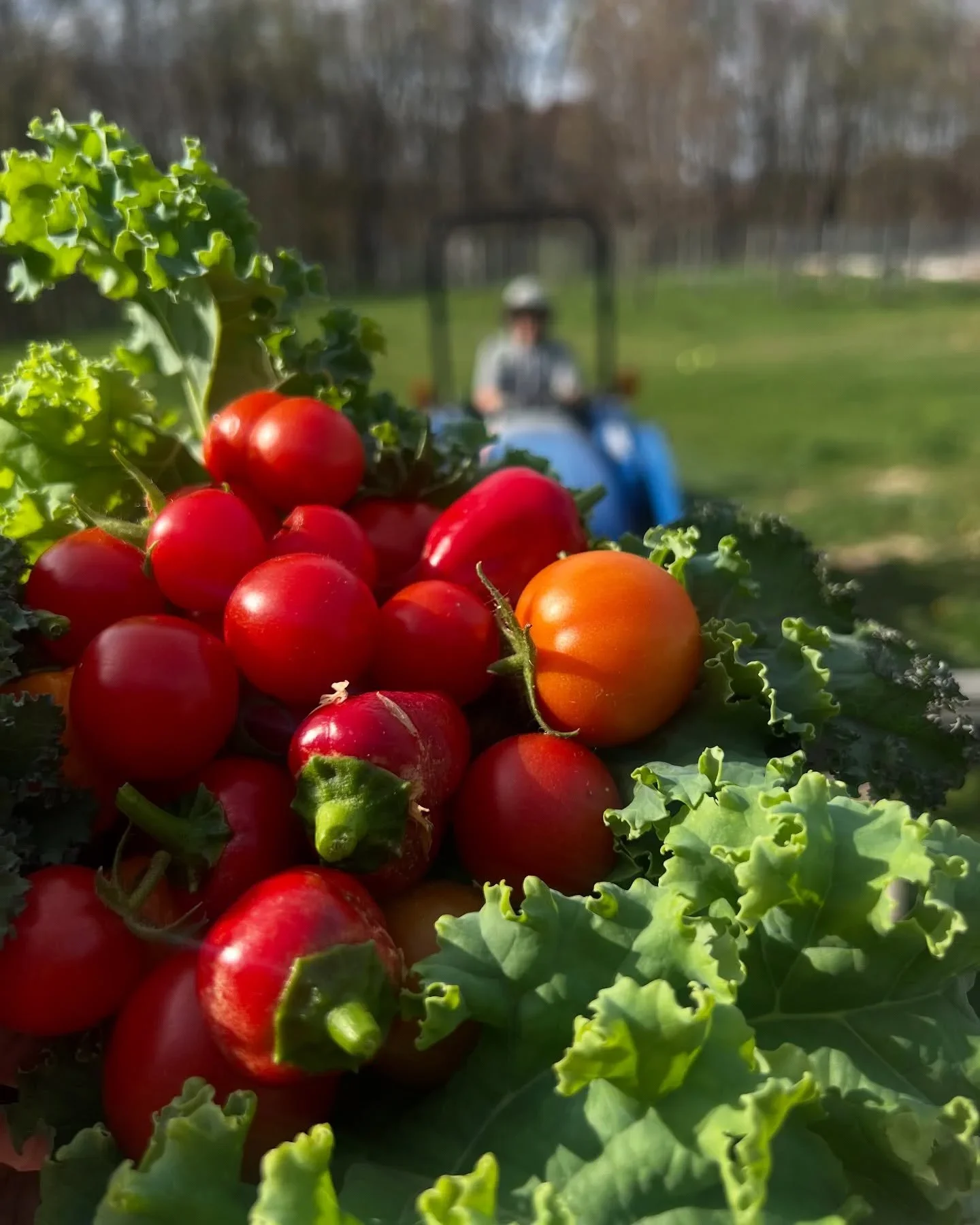 Farm to Hand: Harvest Tour & Farm Table Tasting