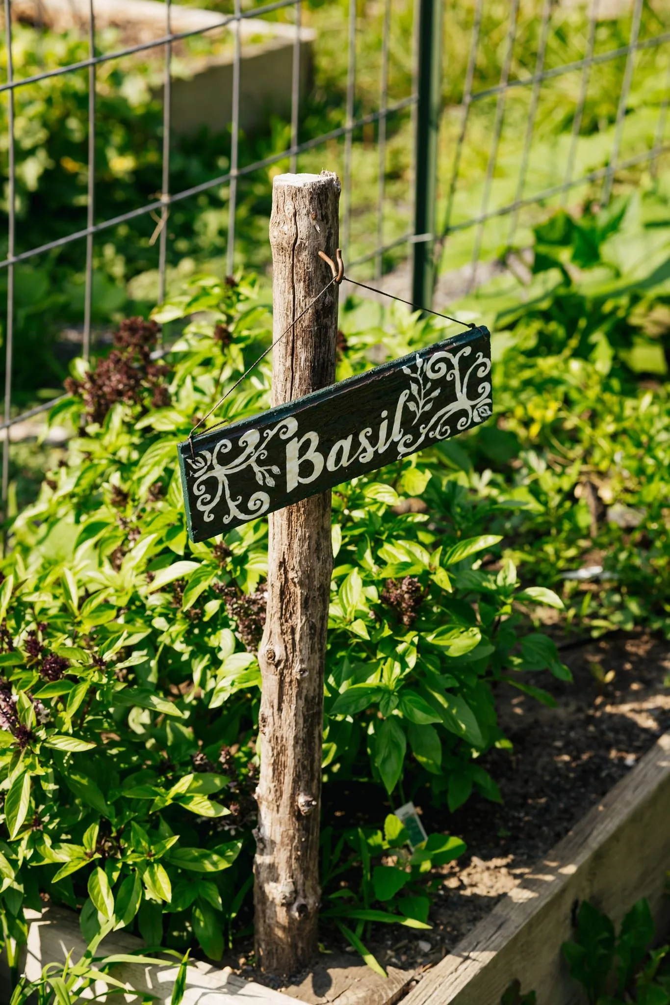 Little-Logans-Farm-Vegan-Dinner-Event-Tiny-House-Photo-25.jpg