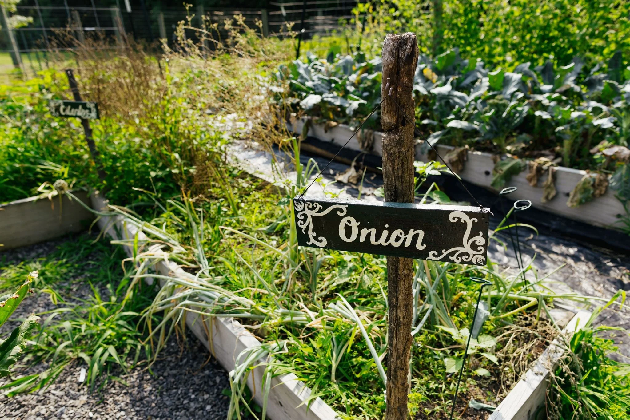 Little-Logans-Farm-Vegan-Dinner-Event-Tiny-House-Photo-17.jpg