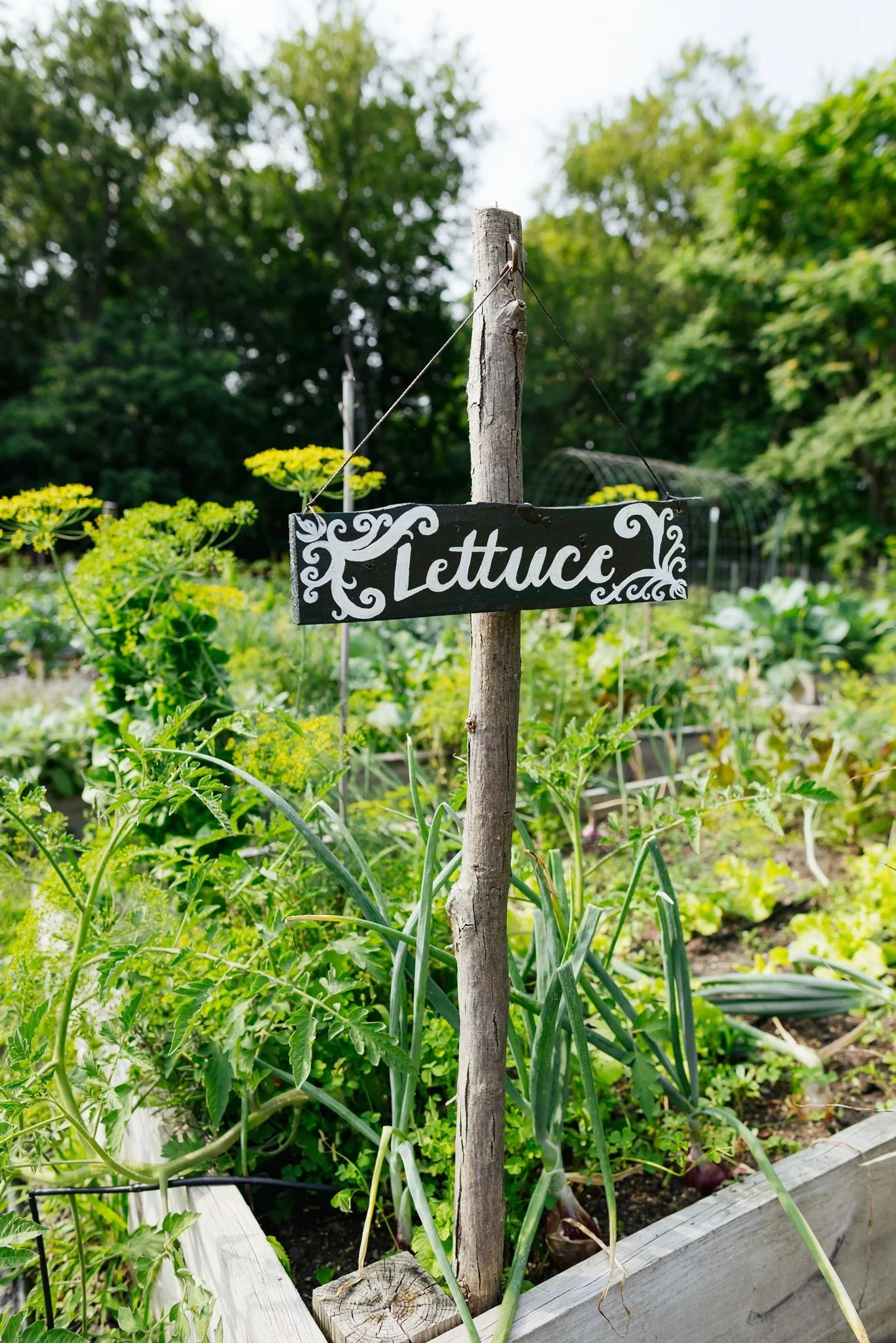 Little-Logans-Farm-Vegan-Dinner-Event-Tiny-House-Photo-14.jpg