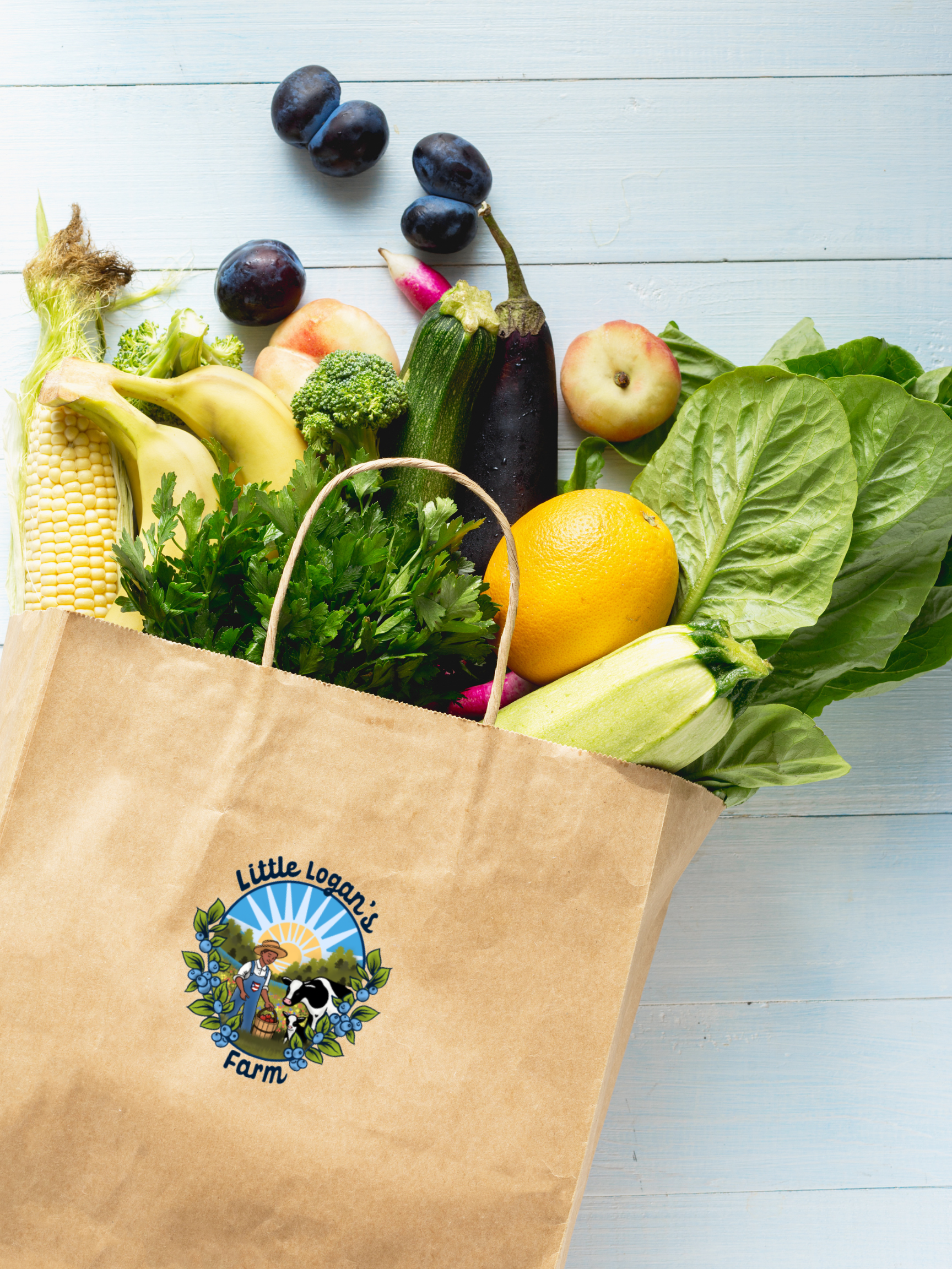 csa box.bag.png