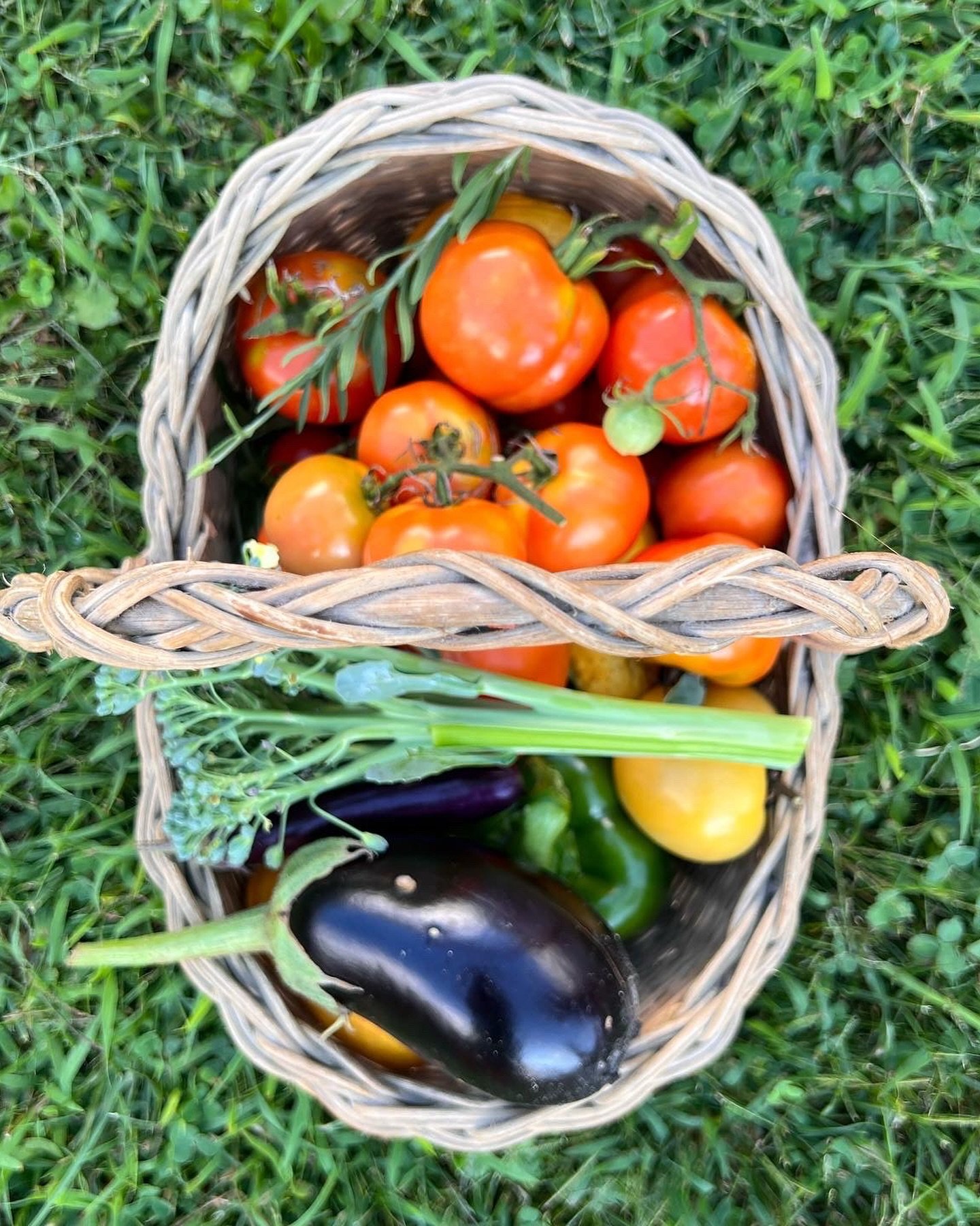 Little Logan’s Farm CSA — Full Share