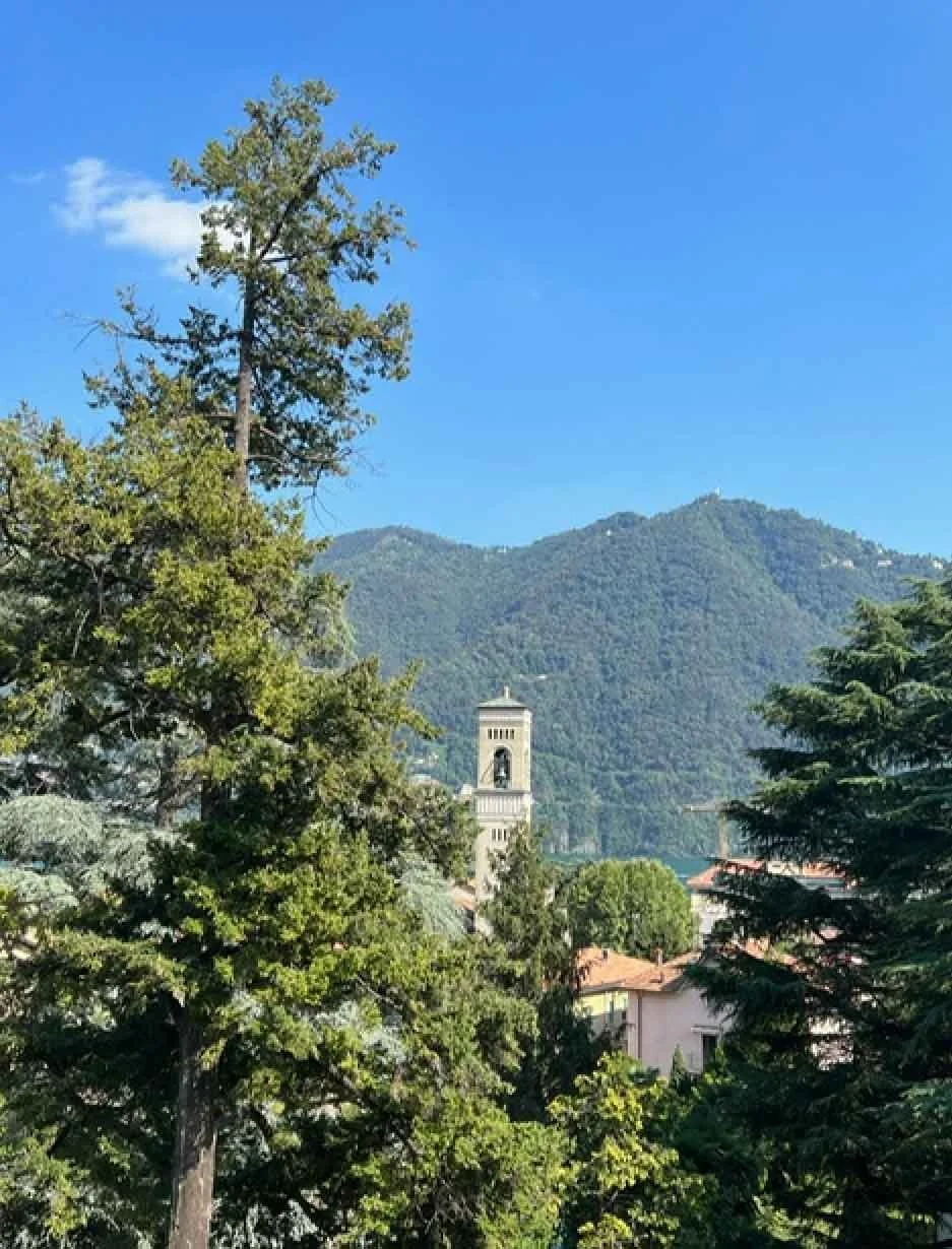 view of a village between trees