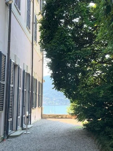 view of a street with trees, near a marina