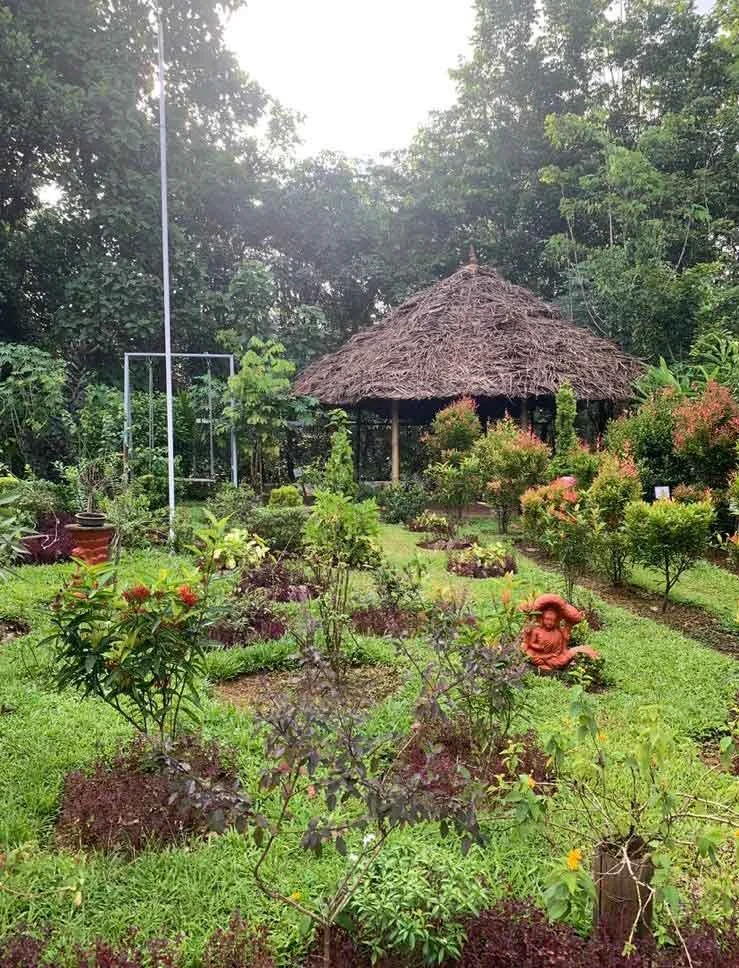 view of a garden