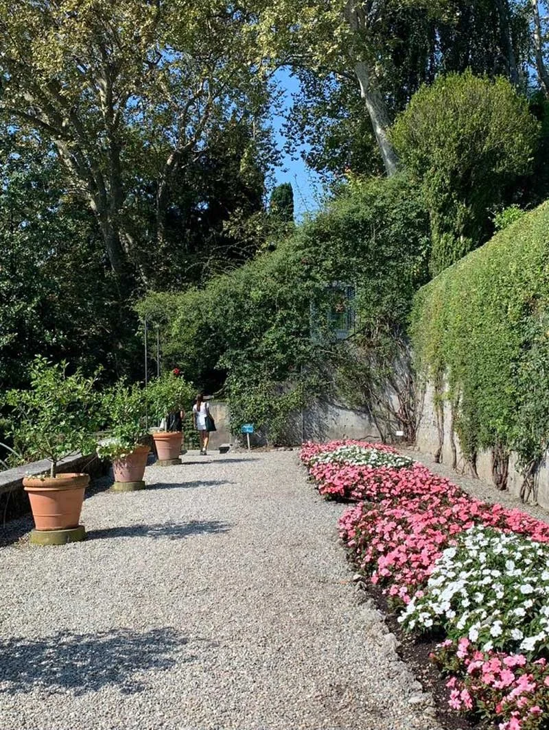 Image of a garden in a sunny day