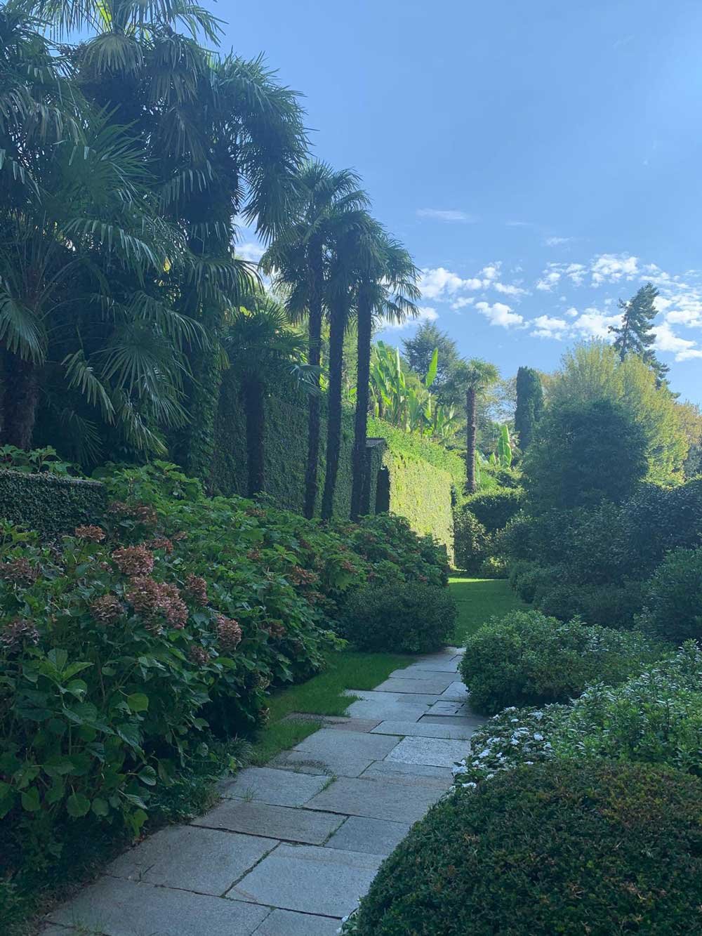 Image of shaded garden with flowers shrubs and palms