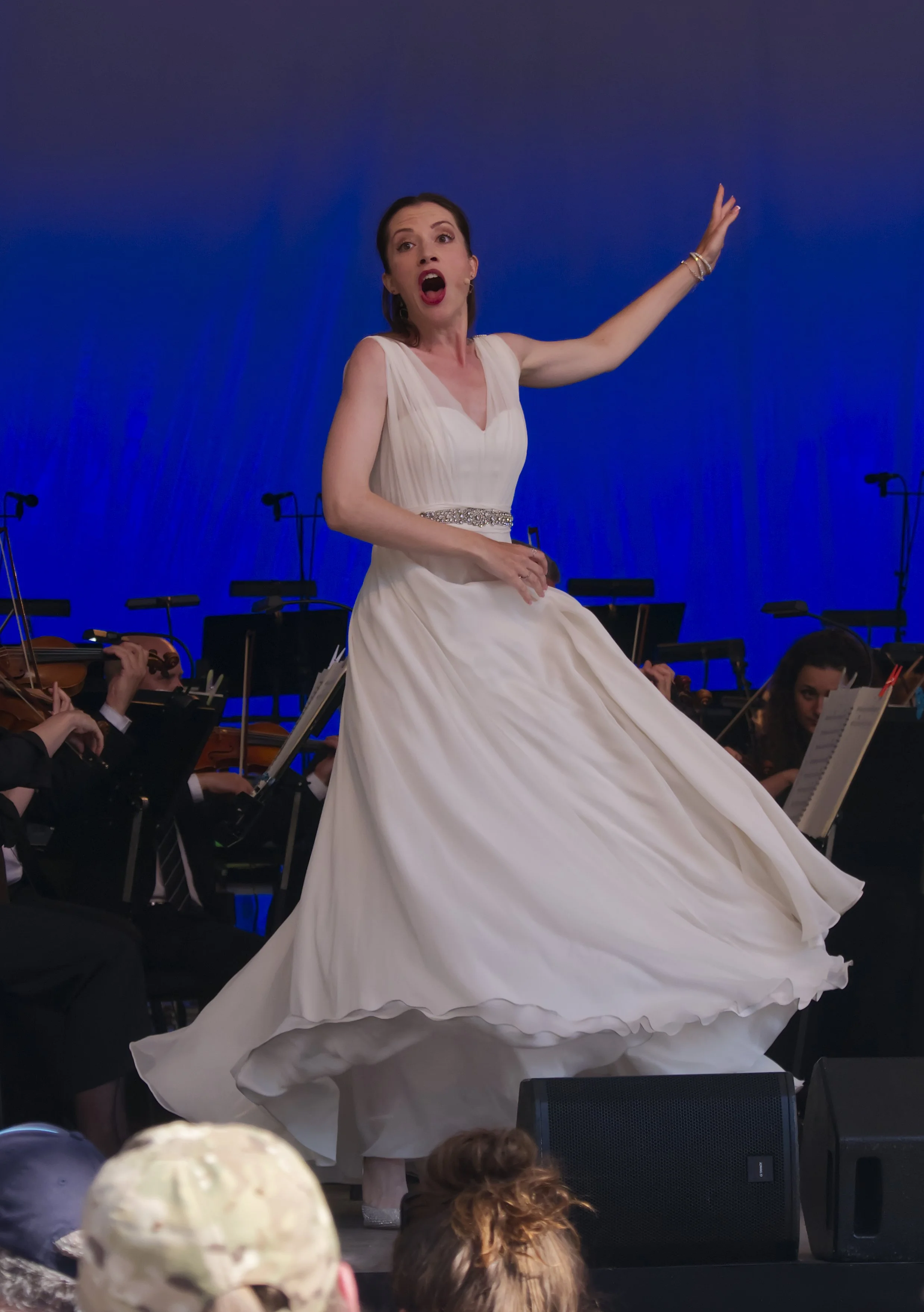 Opera in the Park with Aarhus Symphony Orchestra