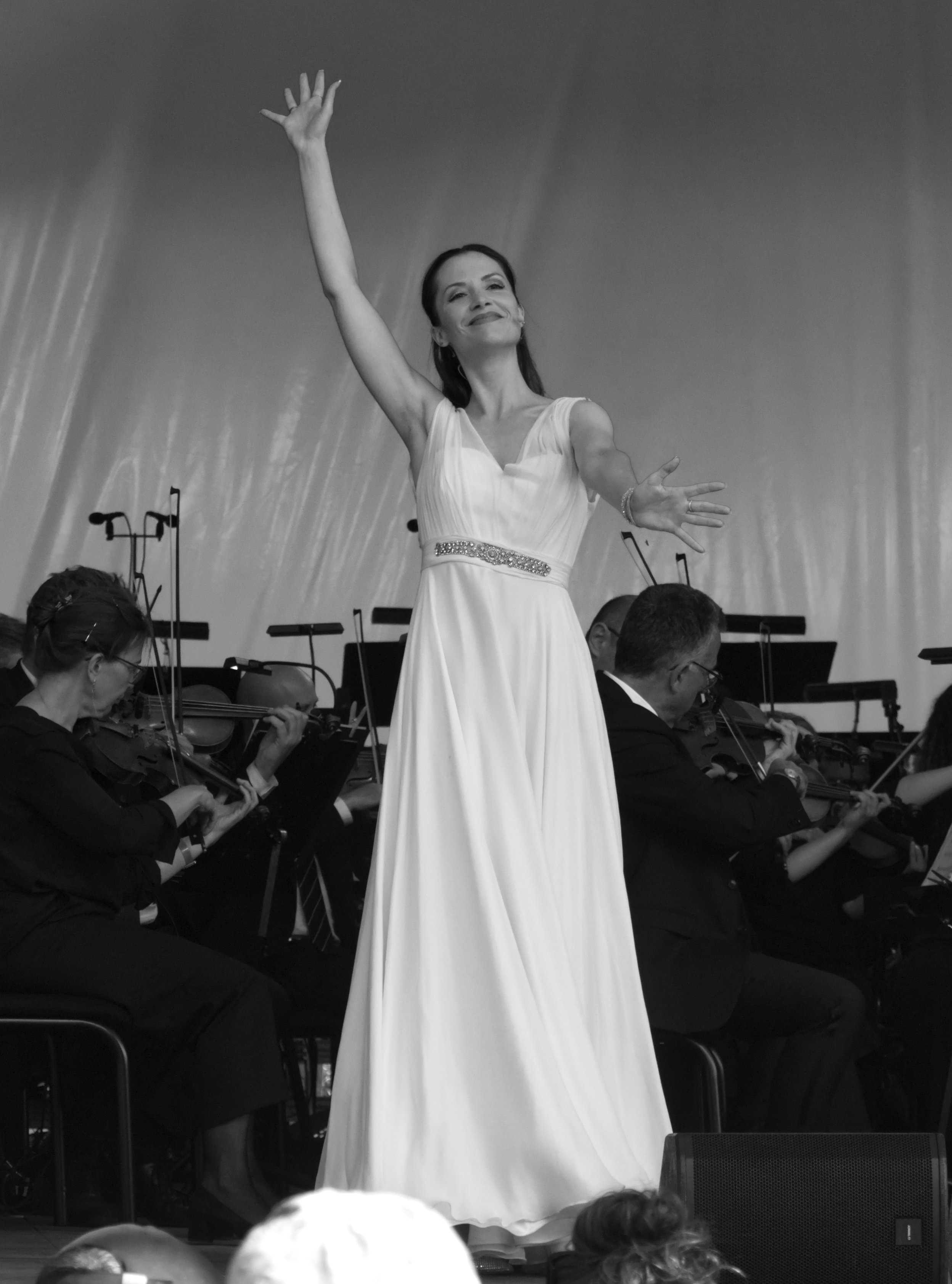 Opera in the Park with Aarhus Symphony Orchestra