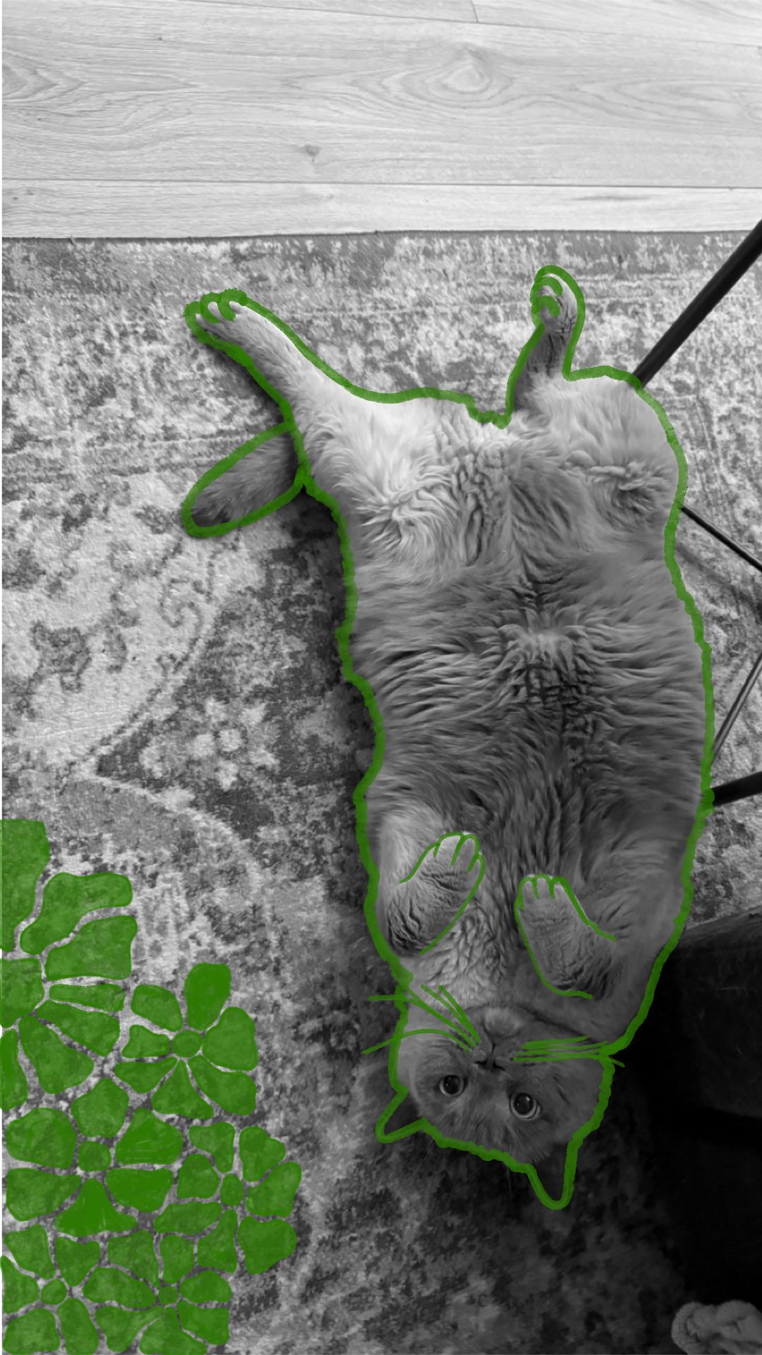 A gray cat lying on a patterned rug with a section of green plant in the lower left corner, and a part of a black metal chair on the right side.