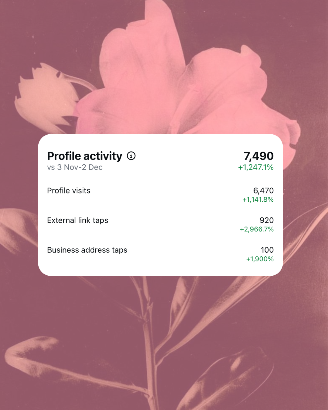 Screenshot of social media profile activity statistics over a period of one month, showing total activity, profile visits, external link Taps, and business address taps with percentage increases, over a pink flower background.