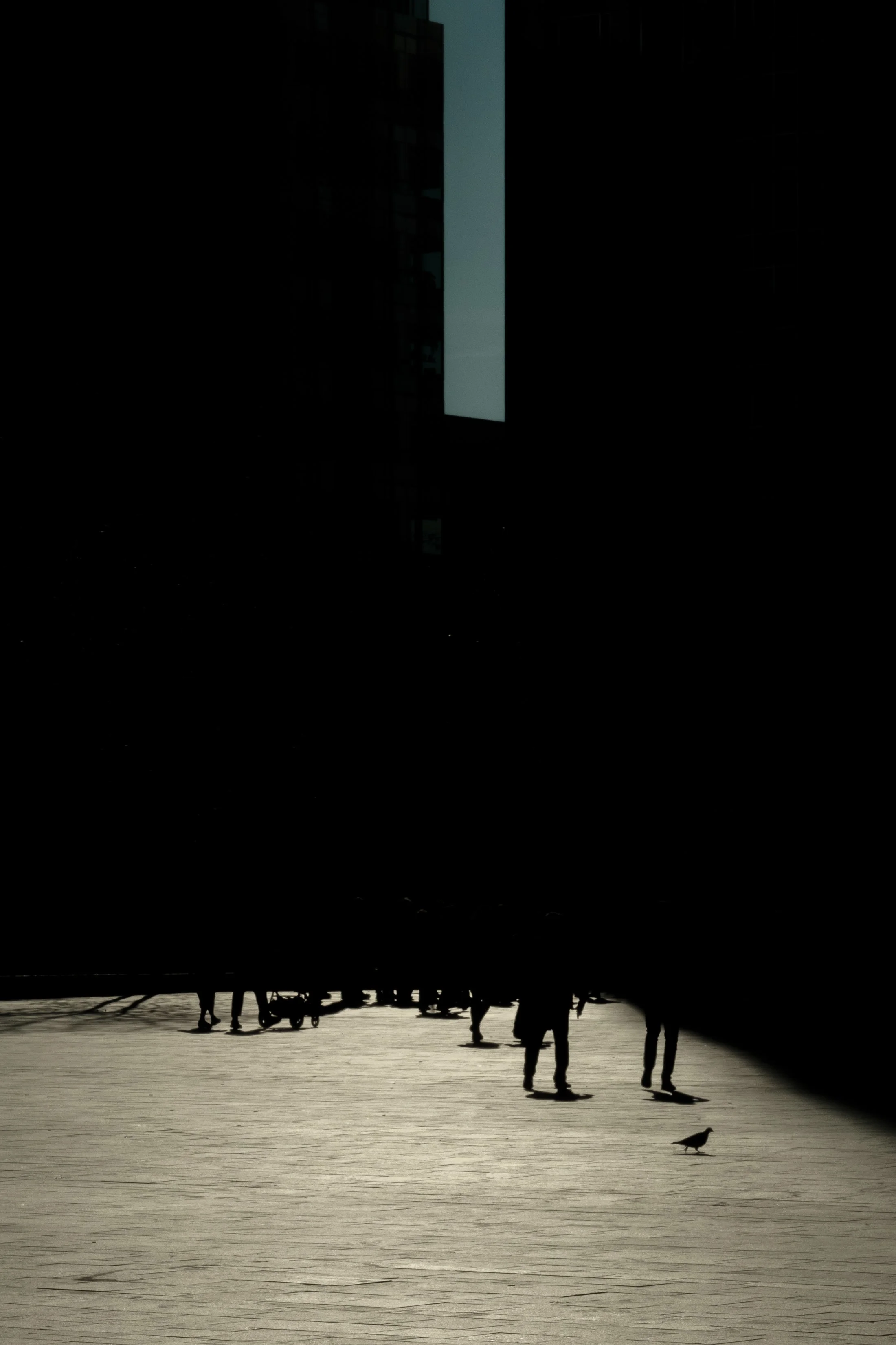 Silhouetted people and a bird under a dark ceiling with a tall illuminated rectangular window or screen.