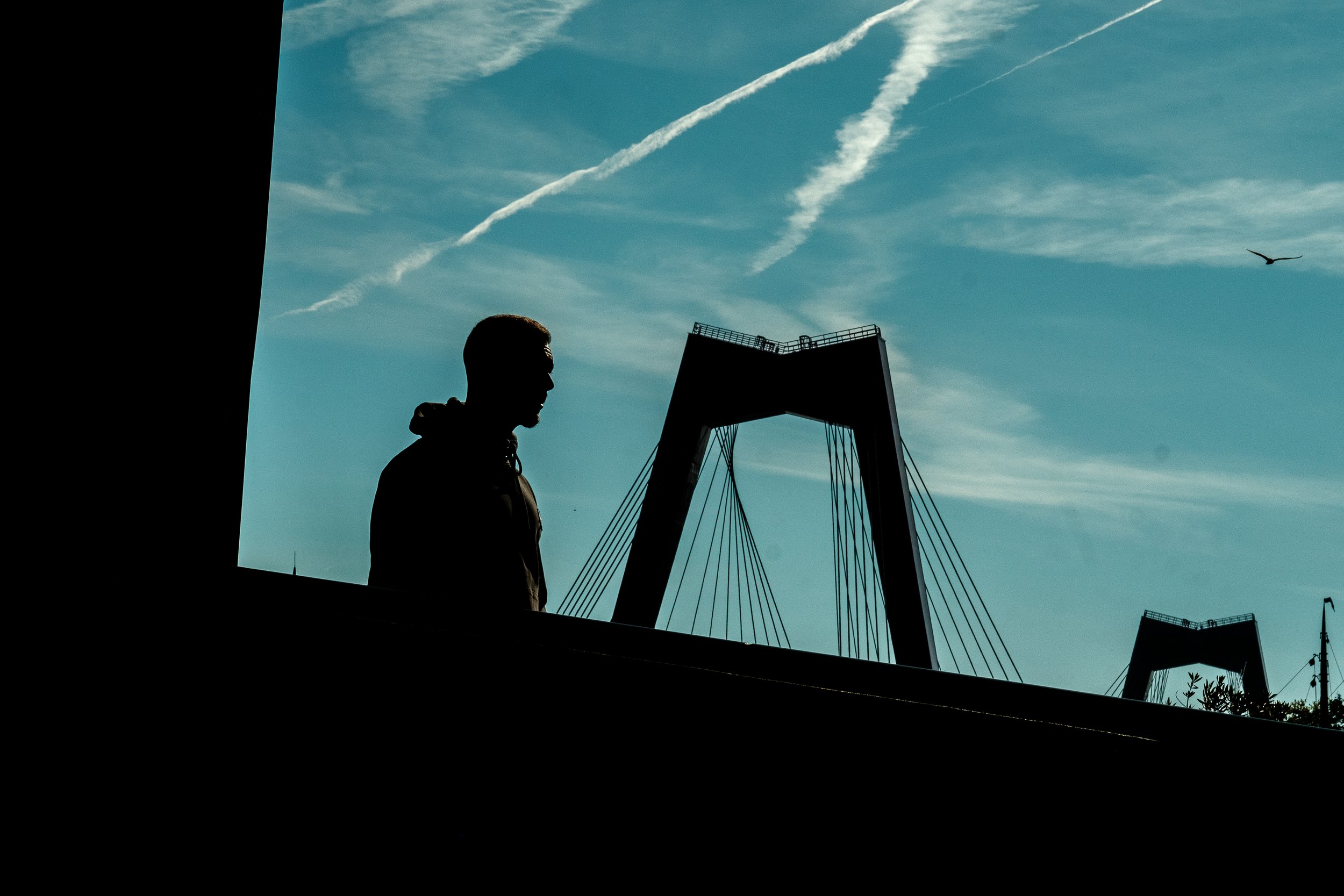 Silhouette of a person standing in front of a sky with contrails, with bridge structures and a flying bird visible.