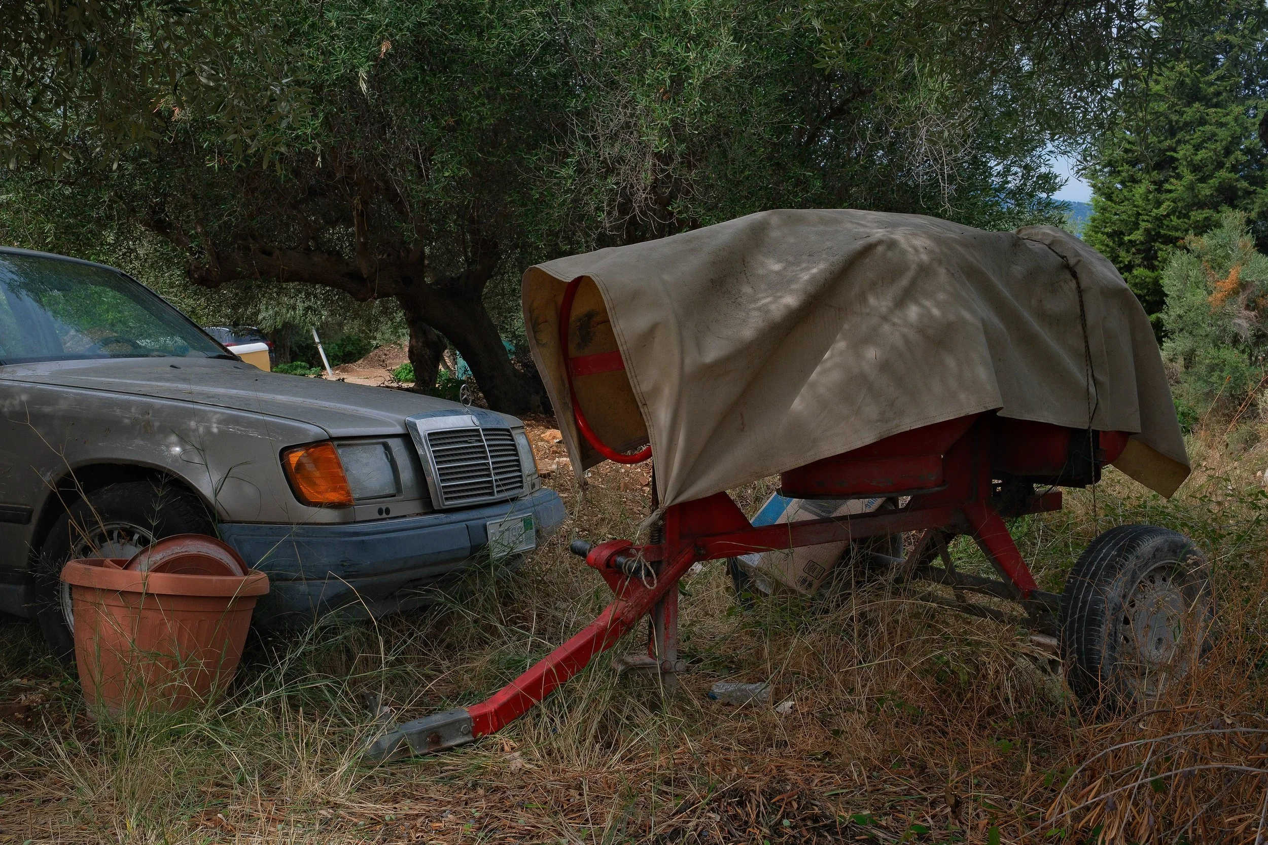An old beige Mercedes-Benz car parked in a grassy area with a red boat trailer covered by a beige tarp nearby, surrounded by trees and dry vegetation.