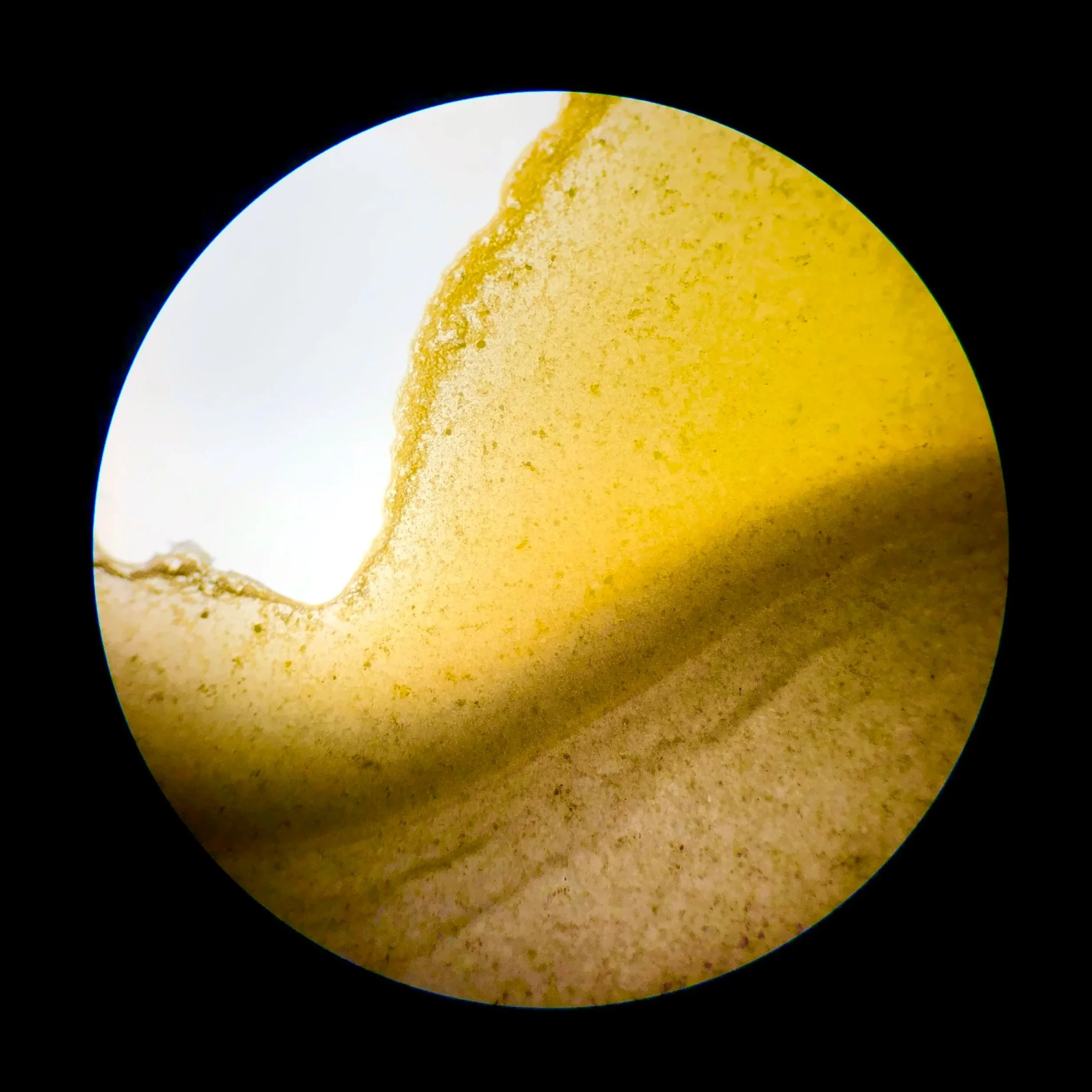 Mixing yellow and black watercolours; 10x objective