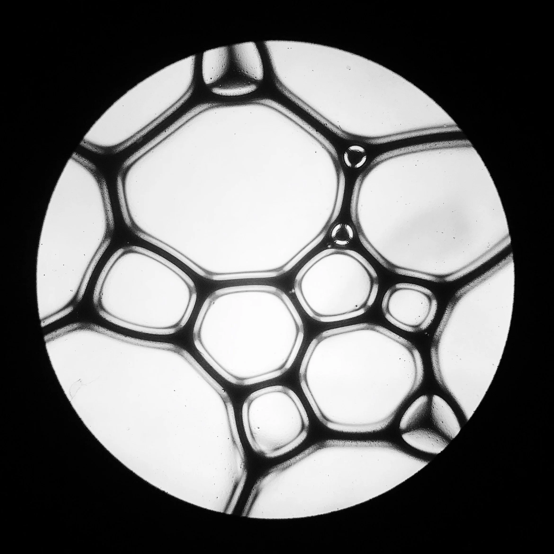 Soap with black paint; 10x objective