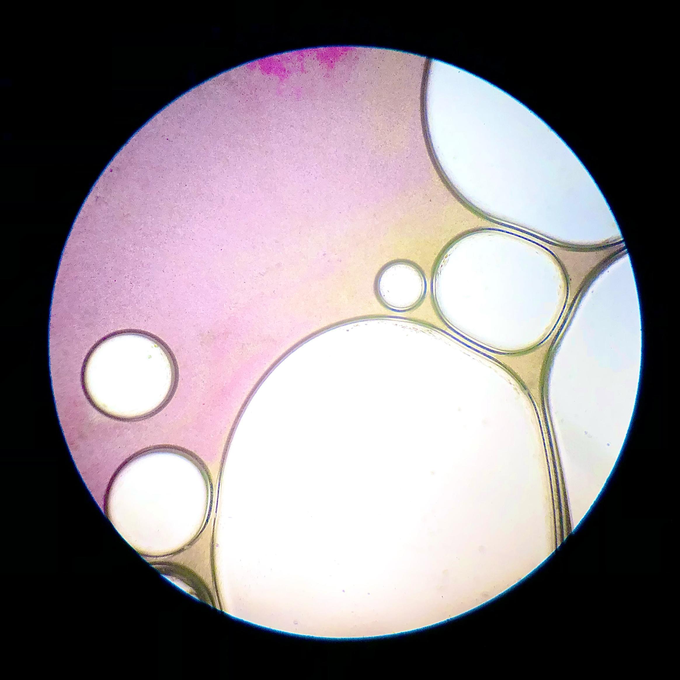 Pink and yellow watercolours mixed with soap; 10x objective