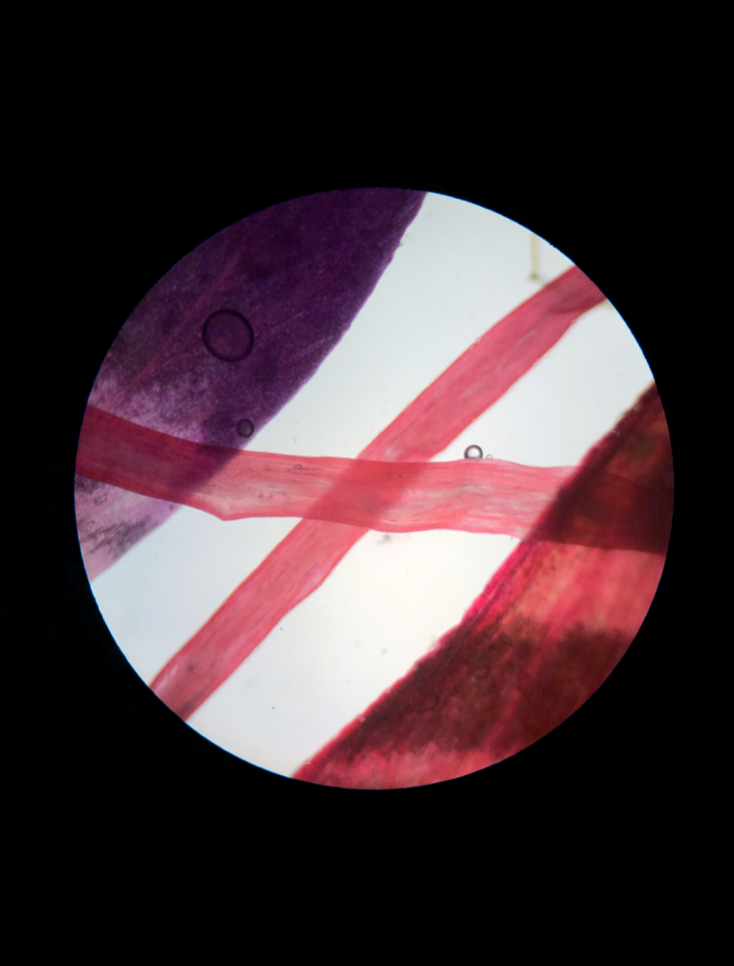 Screenshot 2026-01-11 at 09.34.44.png