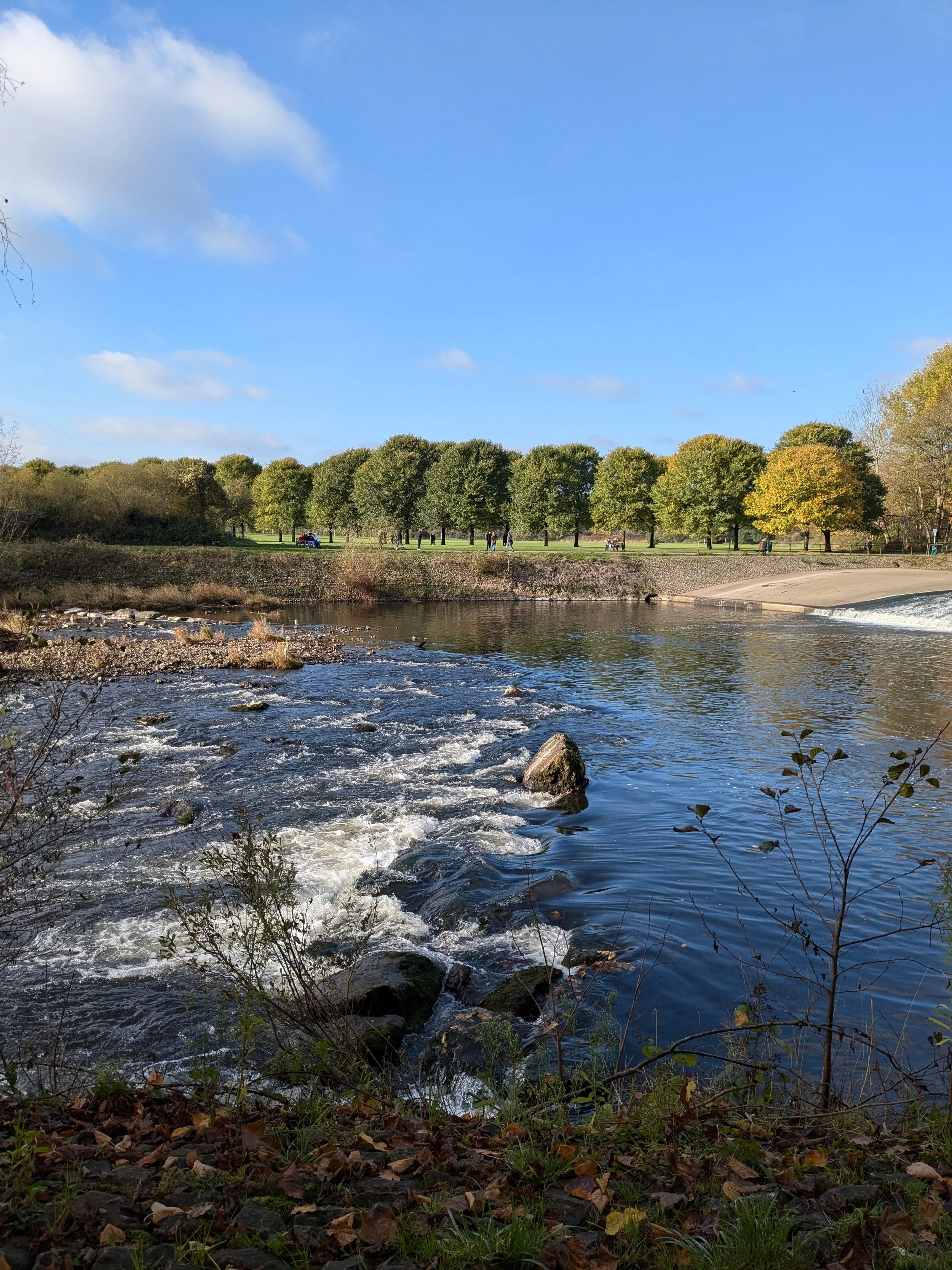 A river with flowing water and rocks, bordered by trees with autumn leaves and a grassy park area with people walking near the riverbank, under a partly cloudy blue sky.