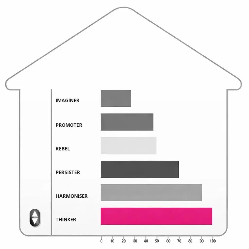 PCM® : un inventaire de personnalité au service des dirigeants