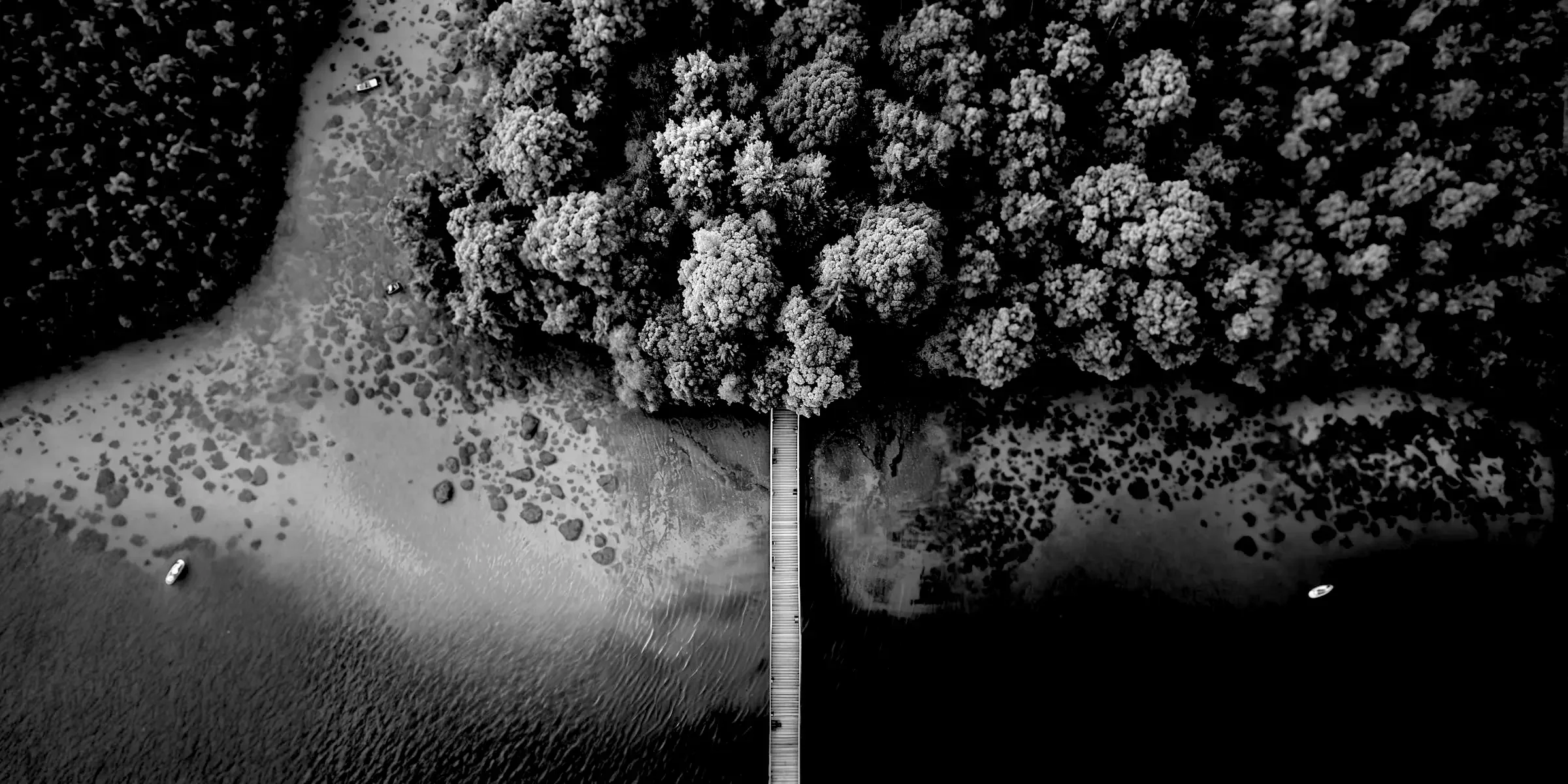 Vue aérienne en noir et blanc d'une forêt dense bordant un lac avec quelques bateaux, et un pont en bois traversant la forêt vers la rive.