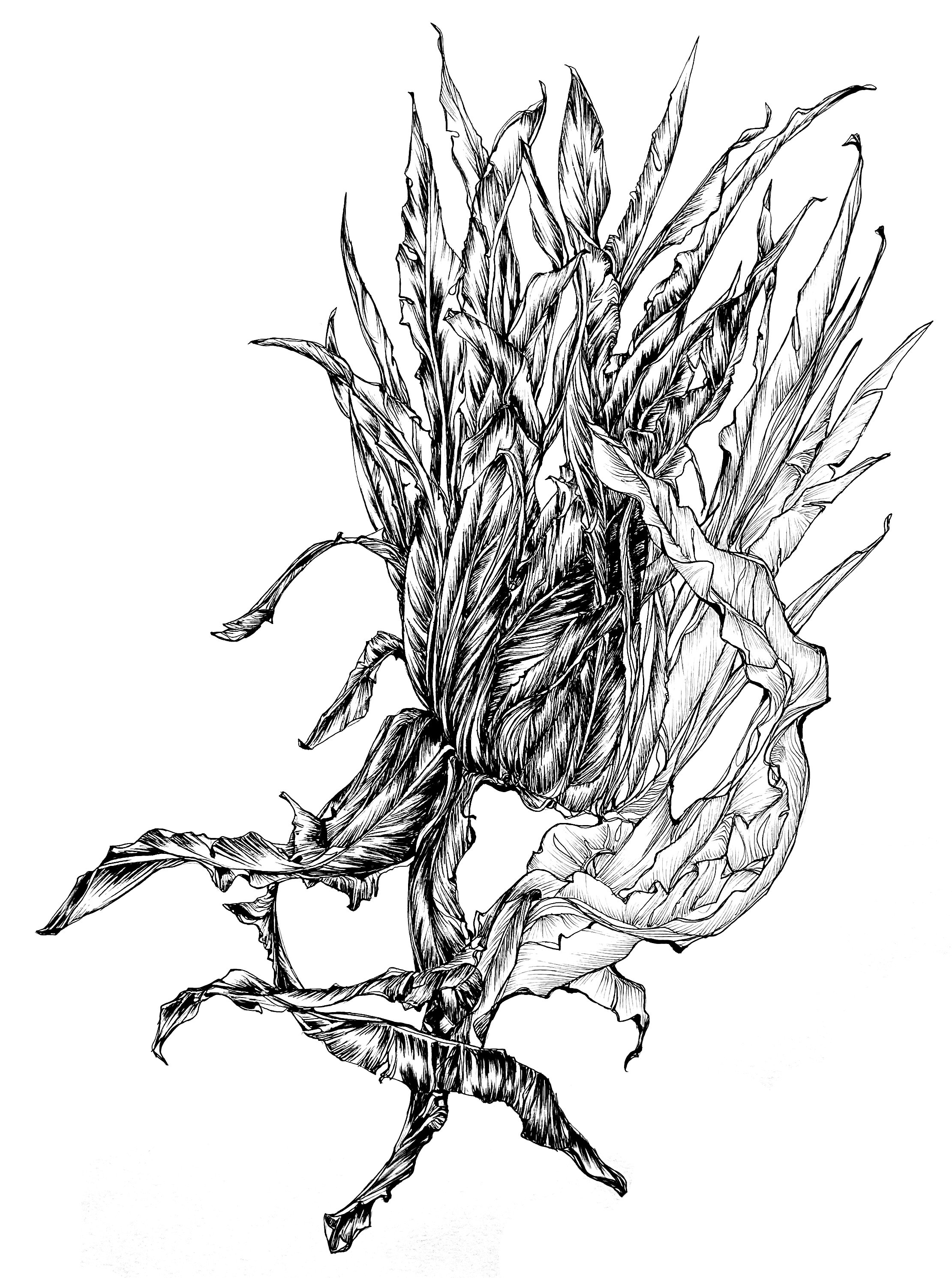 IMG_7124_CLEAN 3.jpg