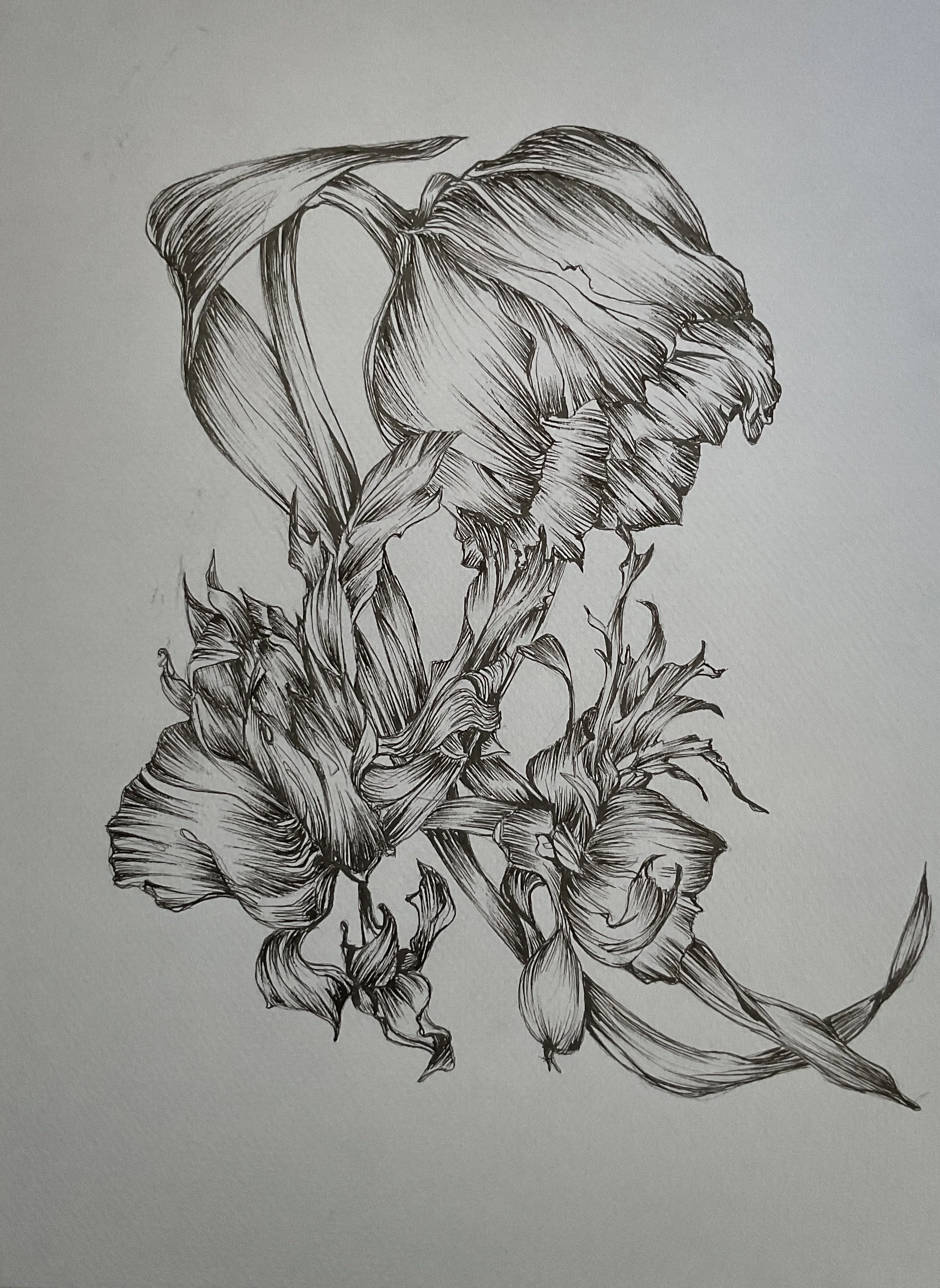 Tulipe et Anémones sur fond bleu - 23 cm x 32 cm