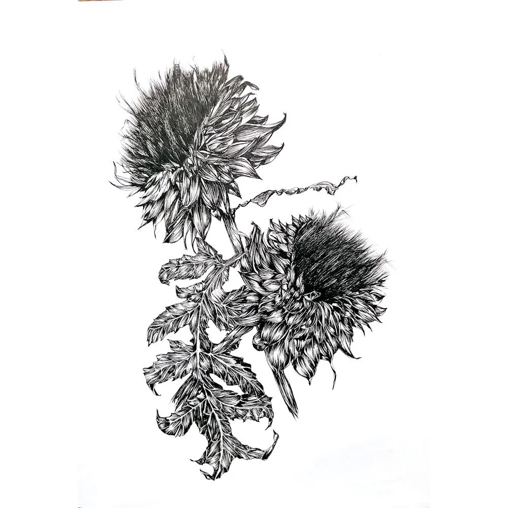 Artichaut 1 - 42 x 59,4 cm