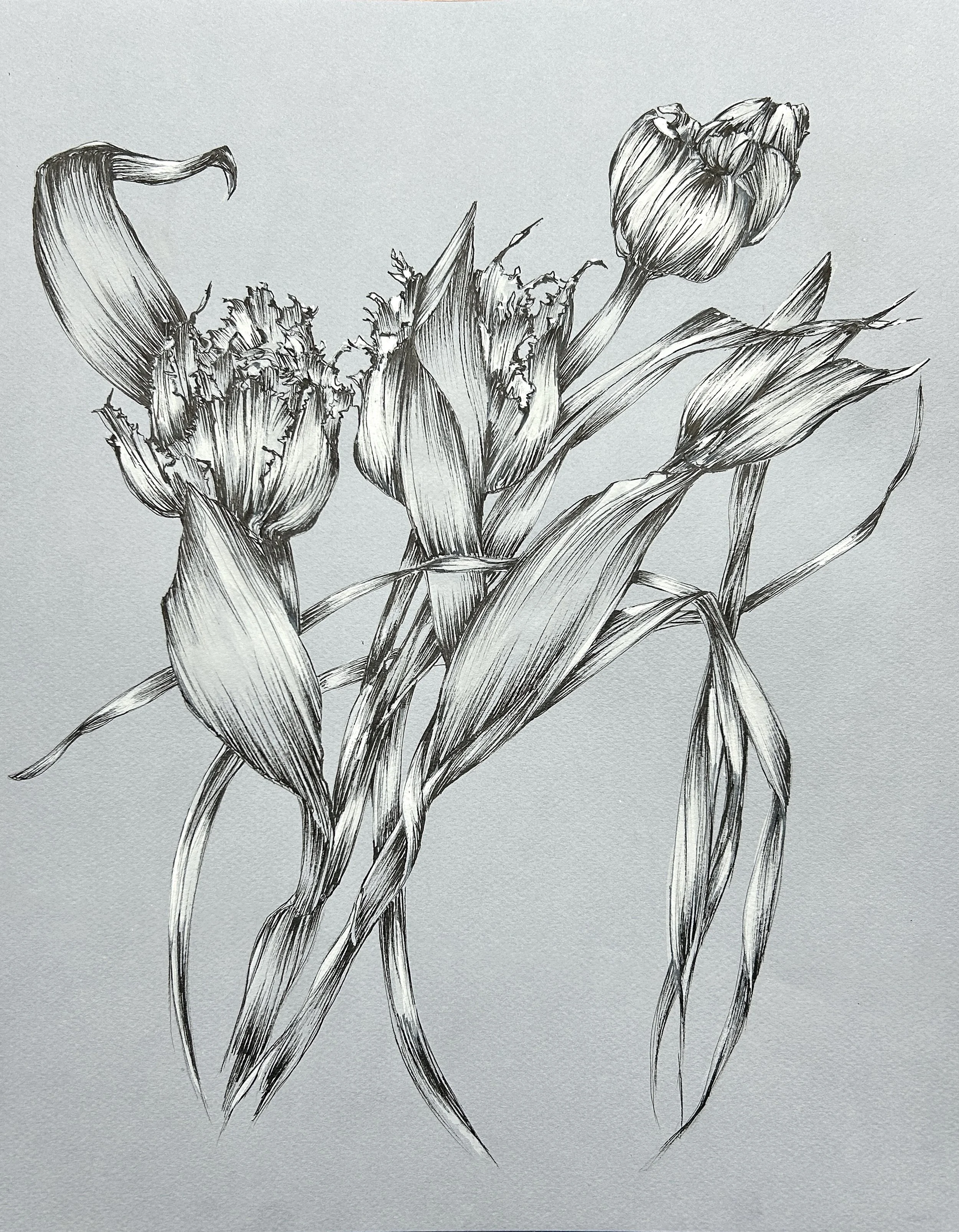 Tulipes sur fond bleu - 29,7 cm x 42 cm