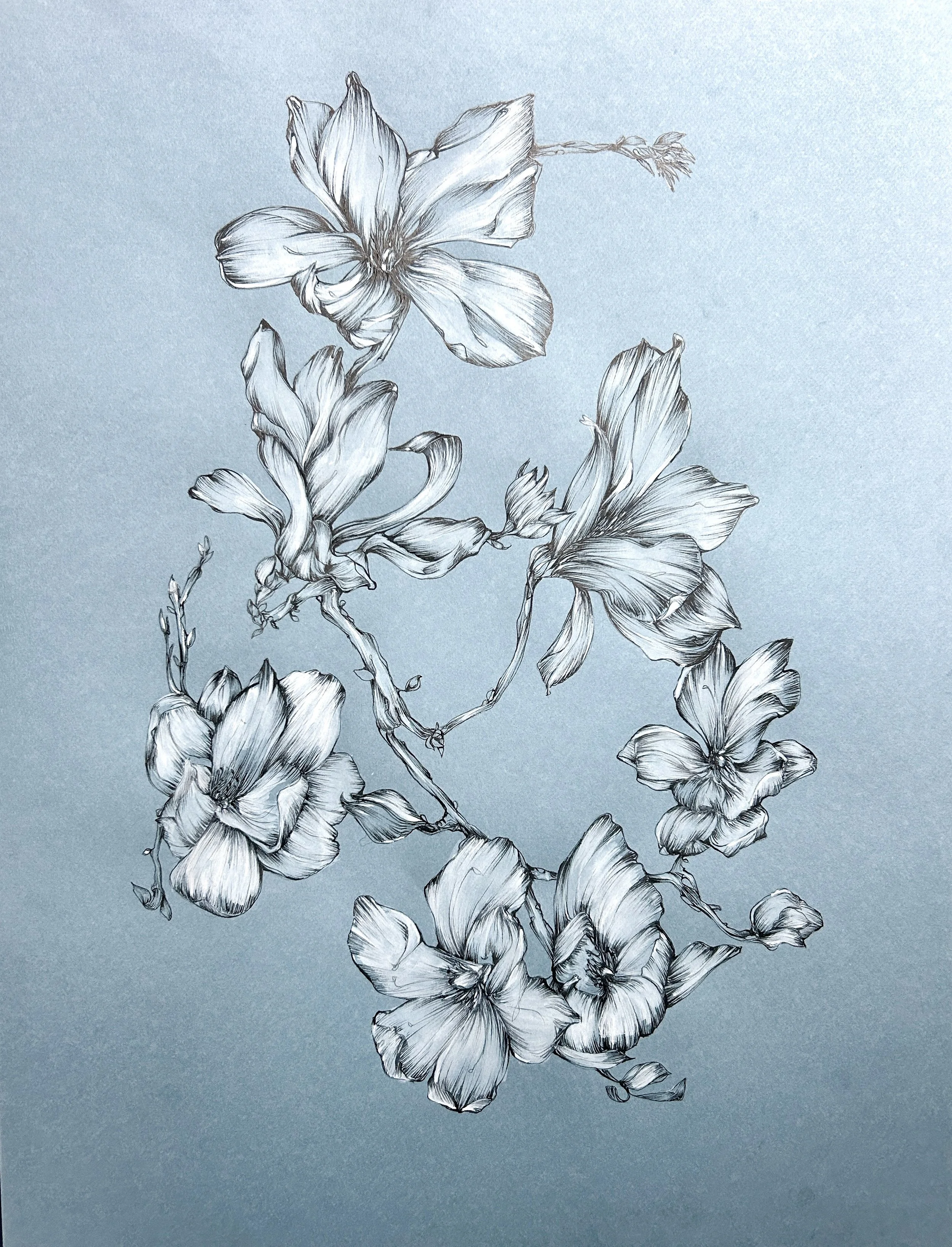 Magnolia sur fond bleu - 50 cm x 65 cm