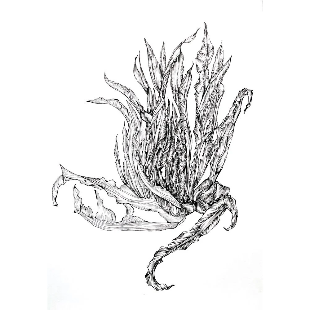 dessin_autre_7123.jpg
