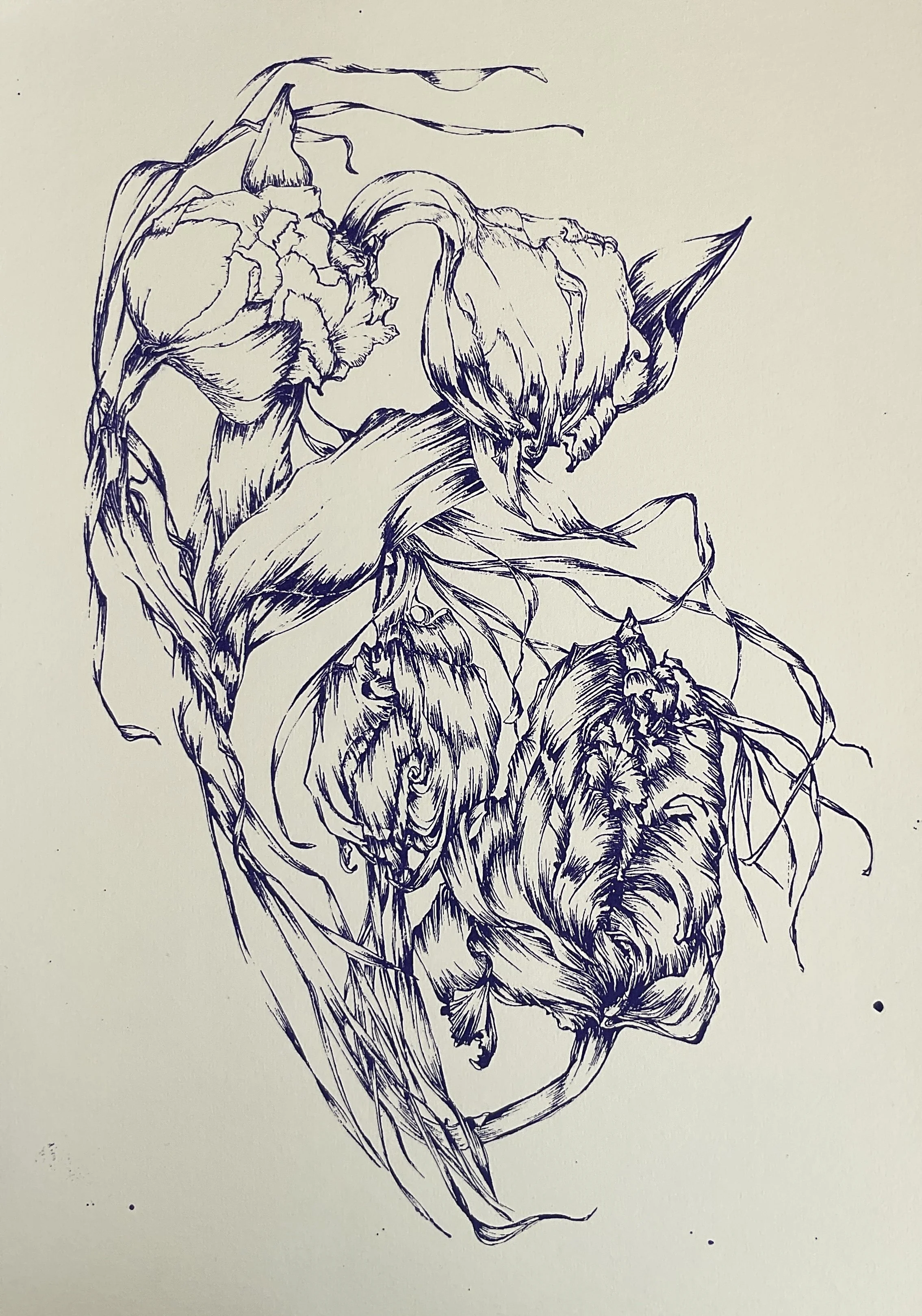Tulipes - sérigraphie encre bleue sur papier - 29,7 cm x 42 cm