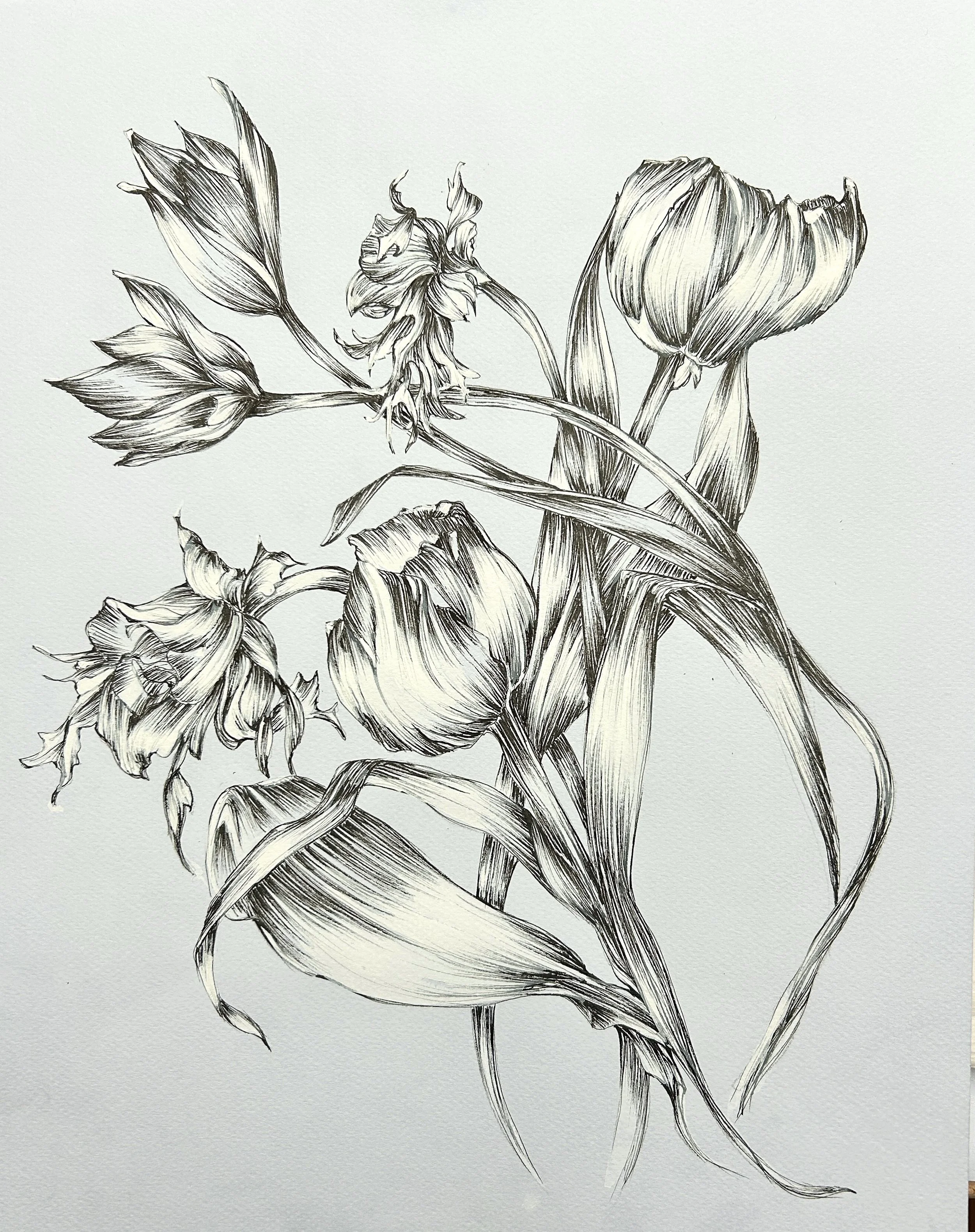 Tulipes et anémones sur fond bleu clair - 29,7 cm x 42 cm