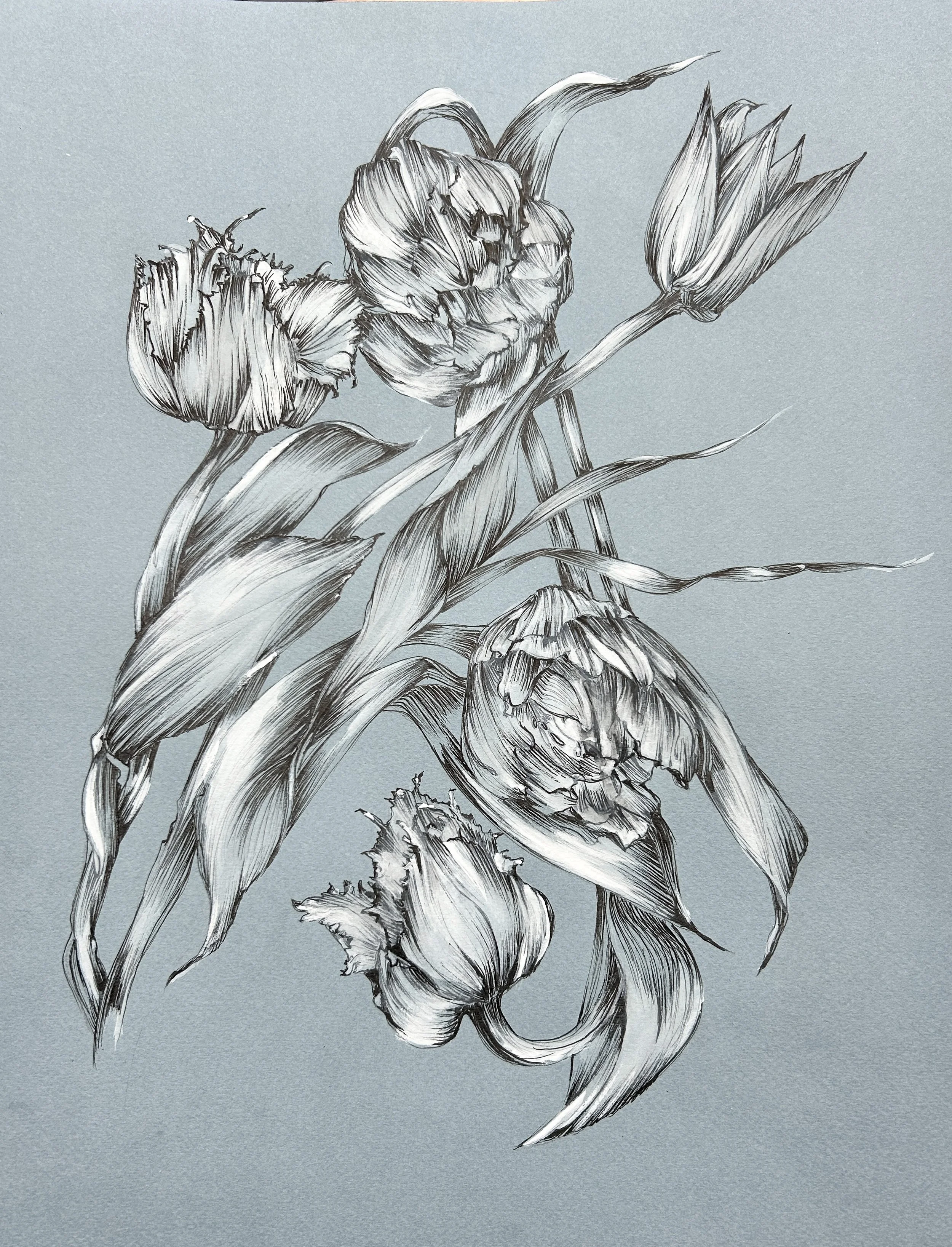 Tulipes sur fond bleu - 29,7 cm x 42 cm