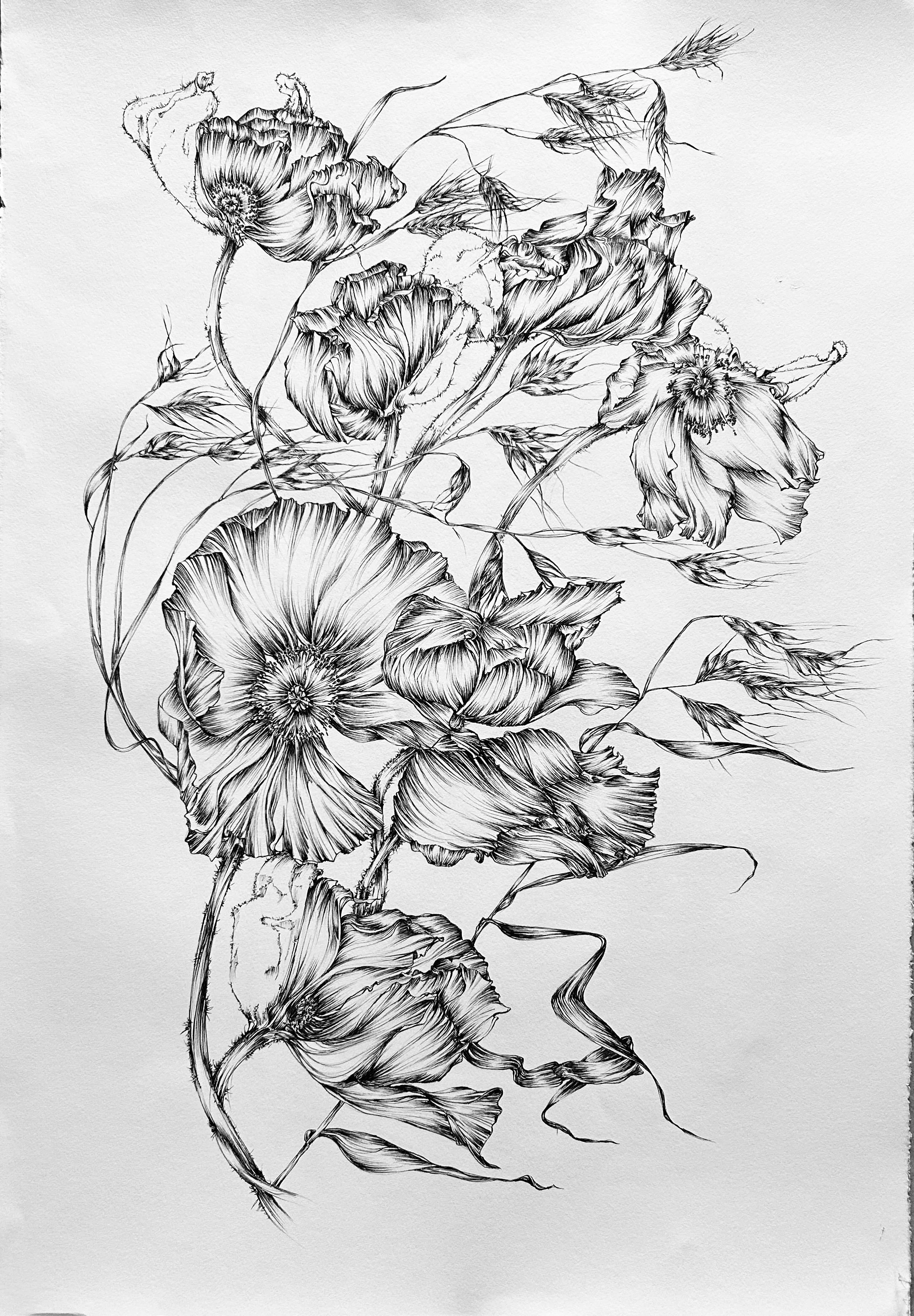 Jardin de pavots dans le vent - 84 cm x 110 cm