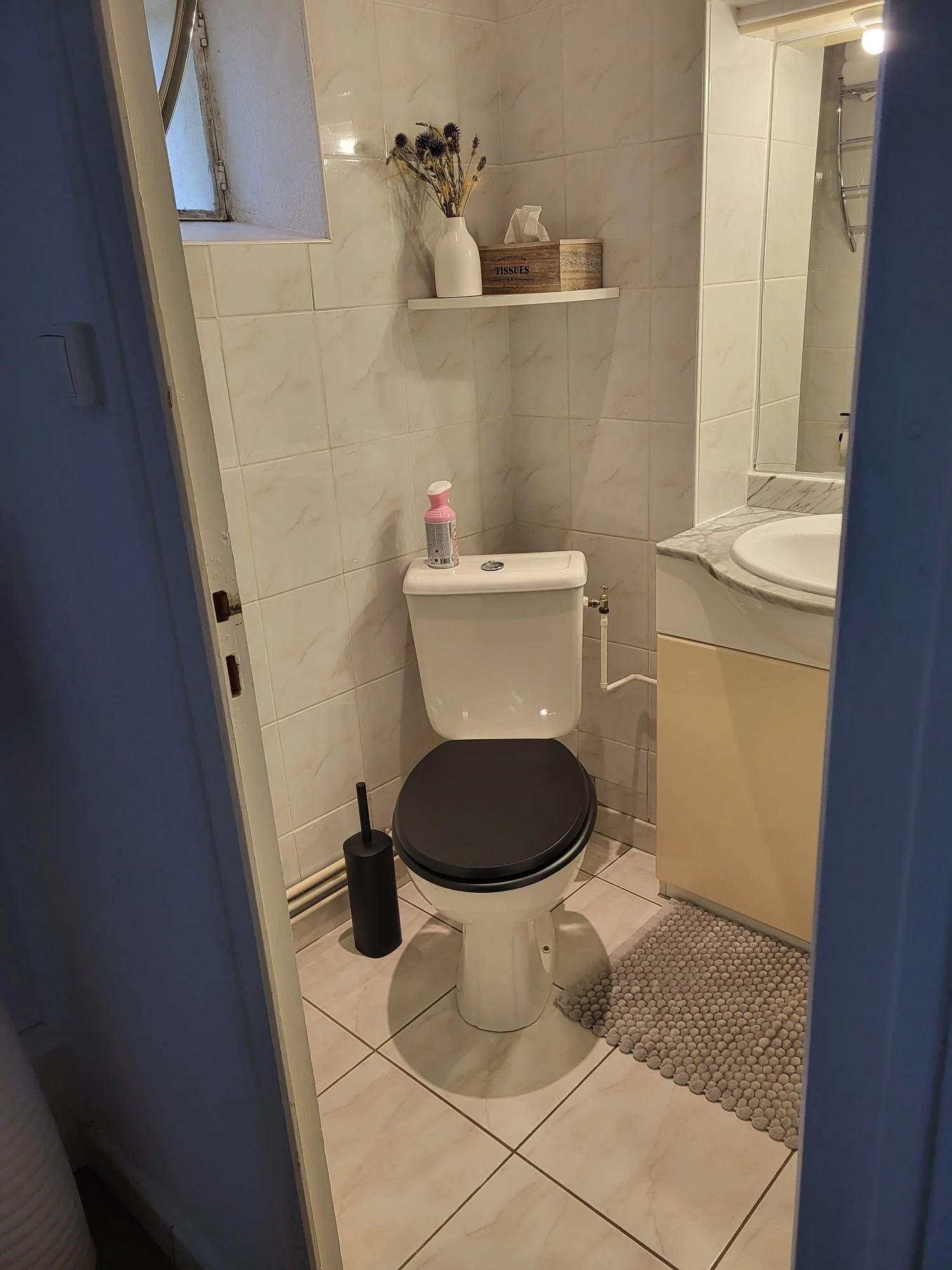 Robijn toilet.JPG