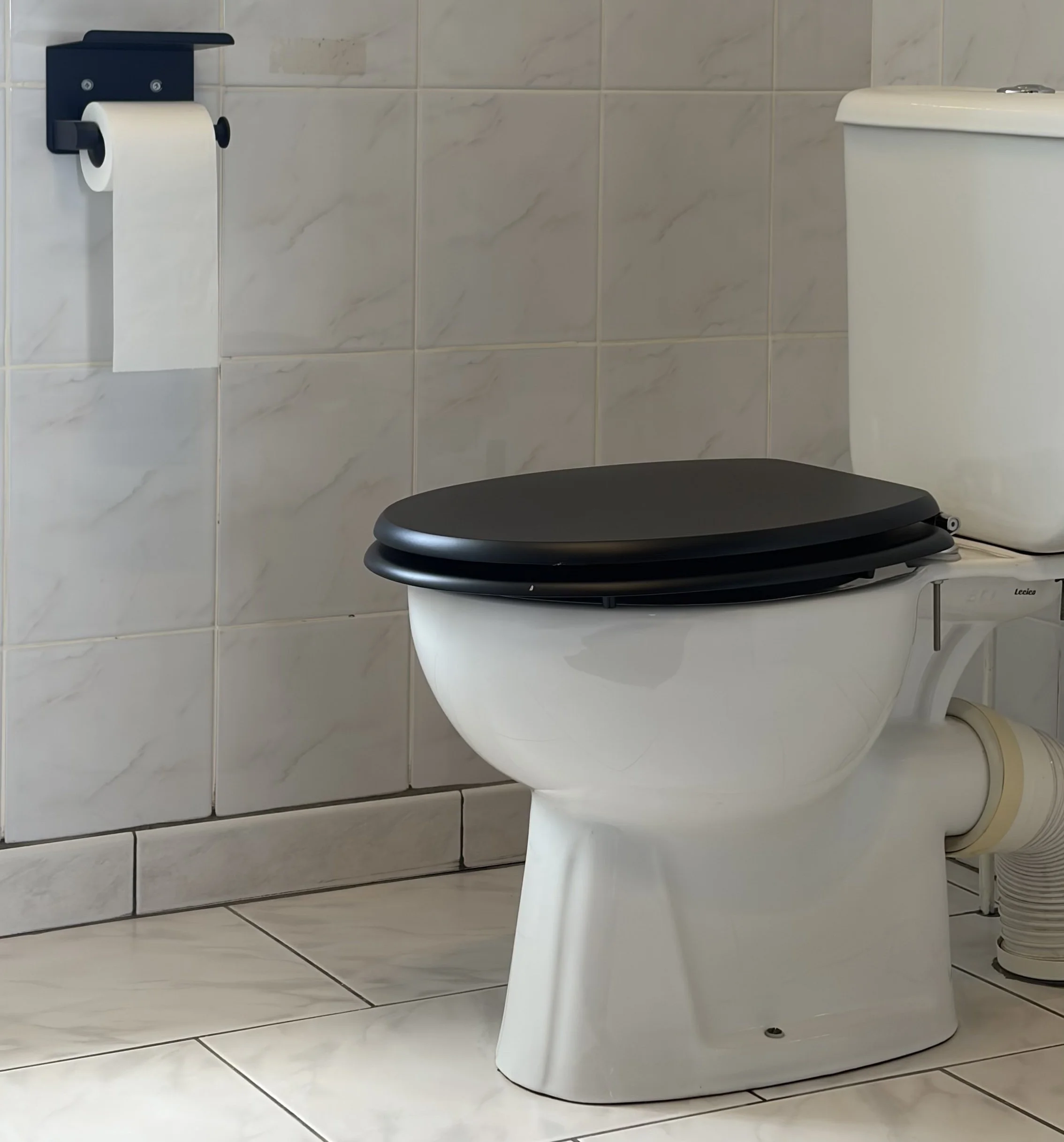 Saffier toilet.jpeg
