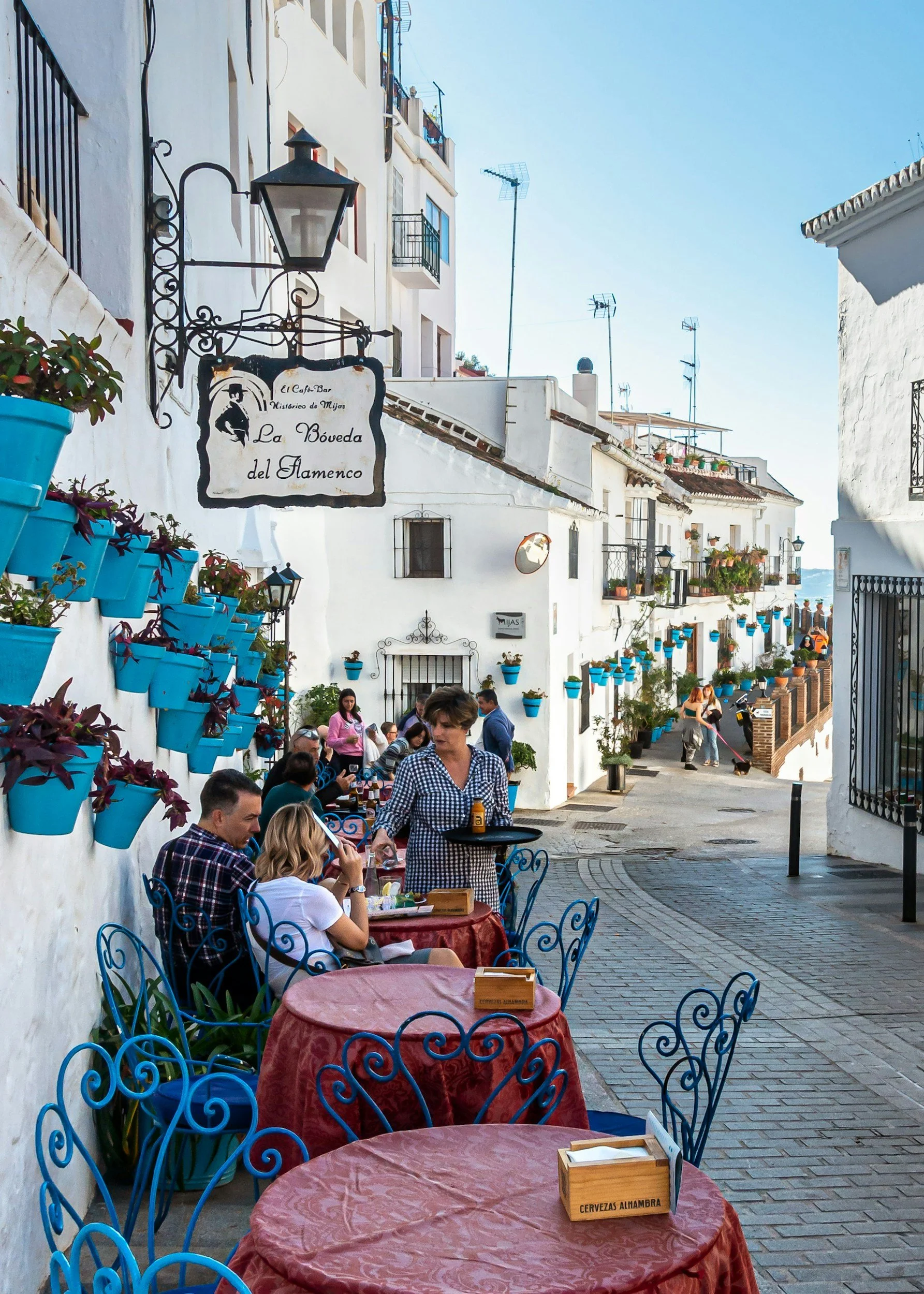 Gluten-Free Guide for Travelers