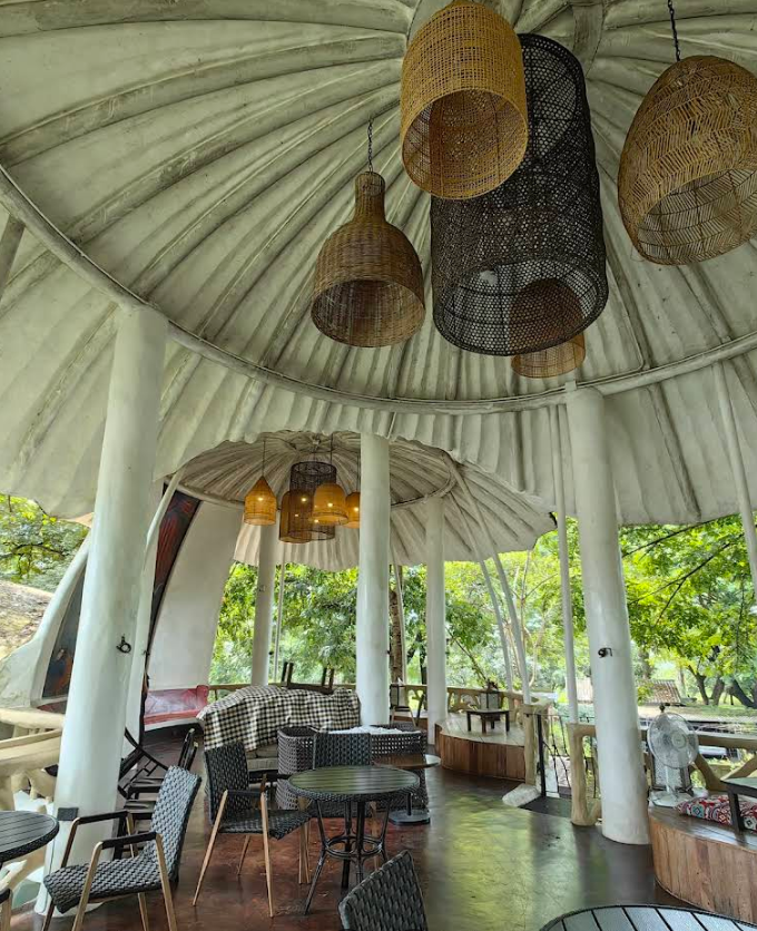 The-Drink-Journal-much-room-cafe-mushroom-interior-upperdeck.png