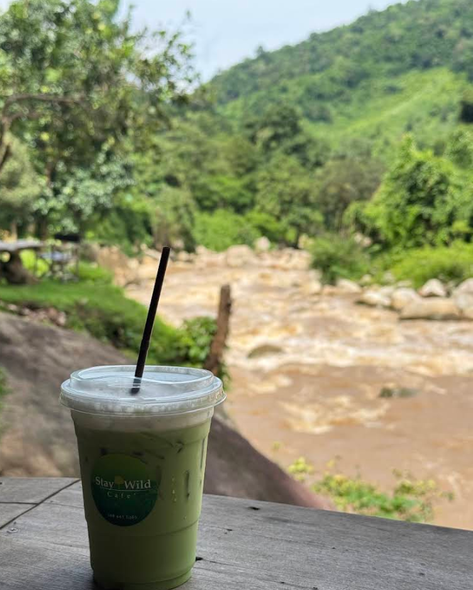 The-Drink-Journal-stay-wild-cafe-iced-matcha-riverside.png