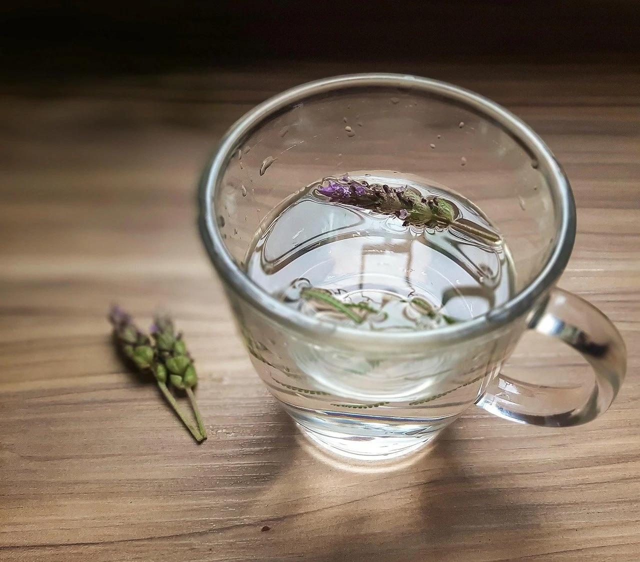 Tea Collection: Lavender Tea (Mediterranean / France)