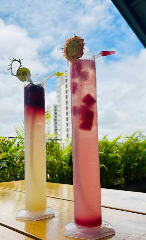 barrys-sky-lounge-bar-and-kitchen-india-the-drink-journal-5.png
