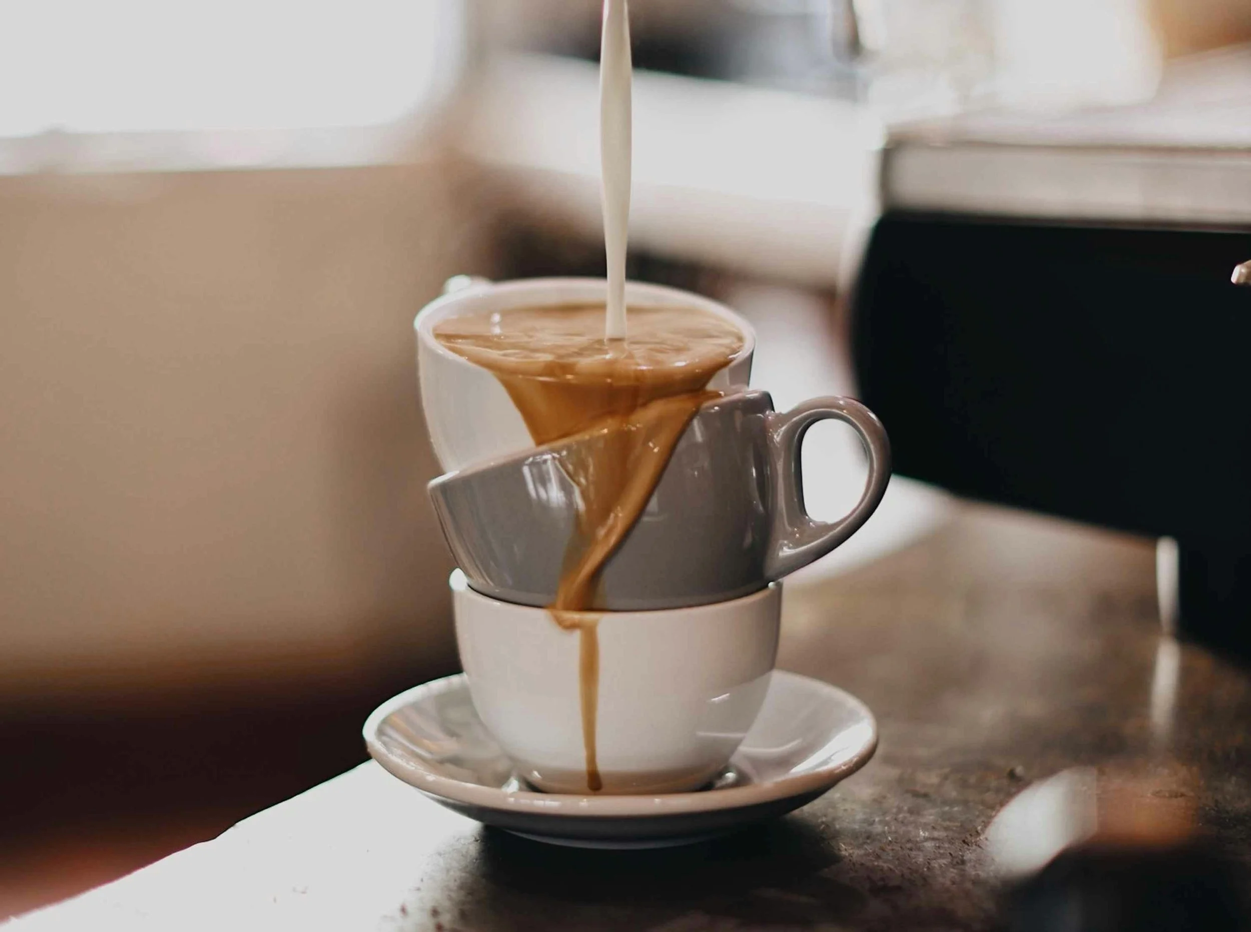 Best Milk for Coffee: Which One Should You Choose?