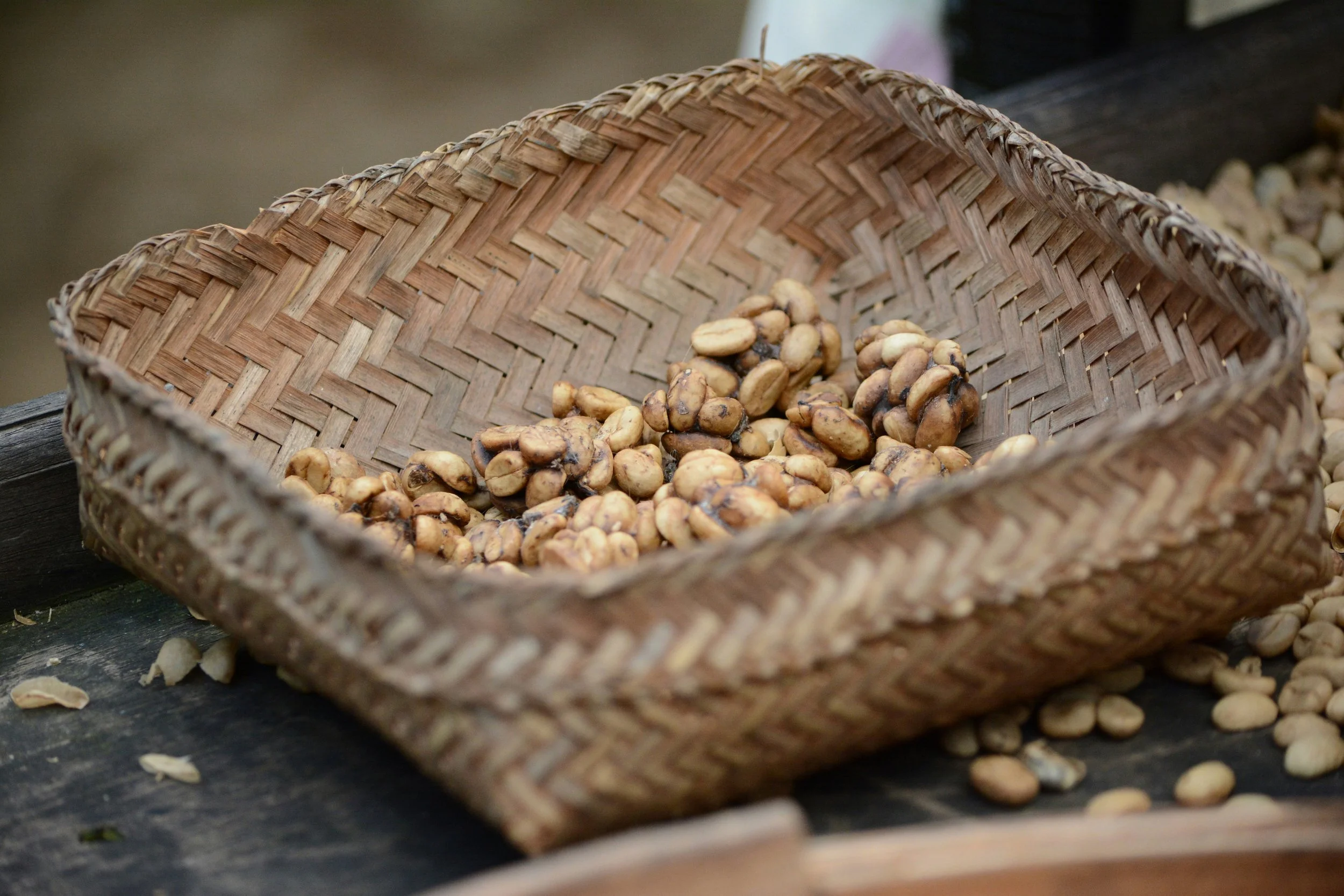 Coffee Classics: Indonesian Kopi Luwak (Indonesia)